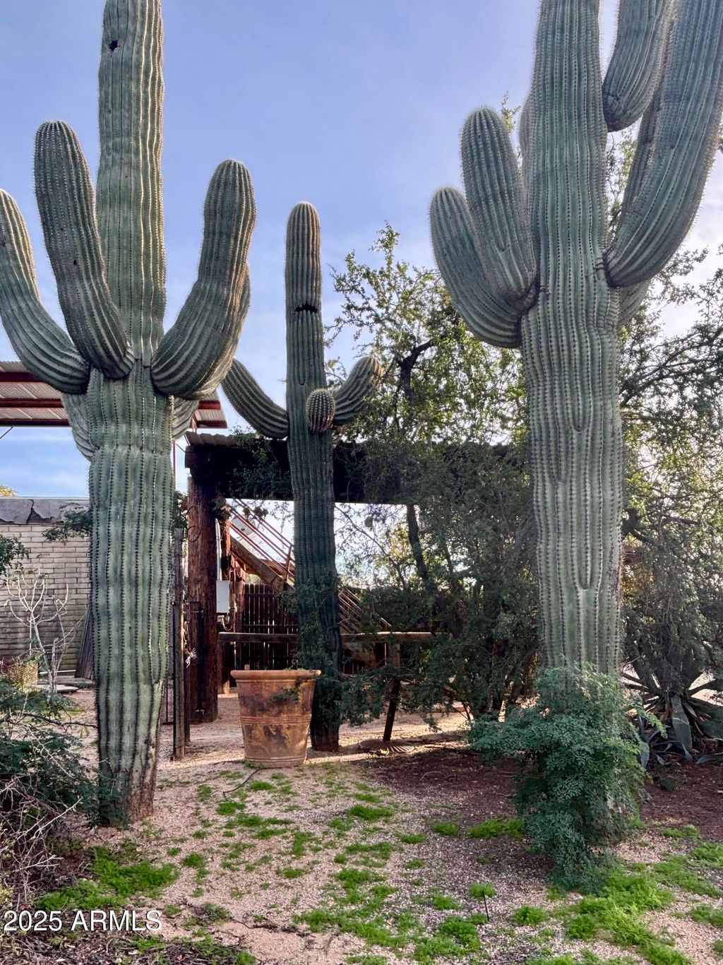 Photo of 5440 E Seven Palms Drive, Cave Creek, AZ 85331 (MLS # 6962105)