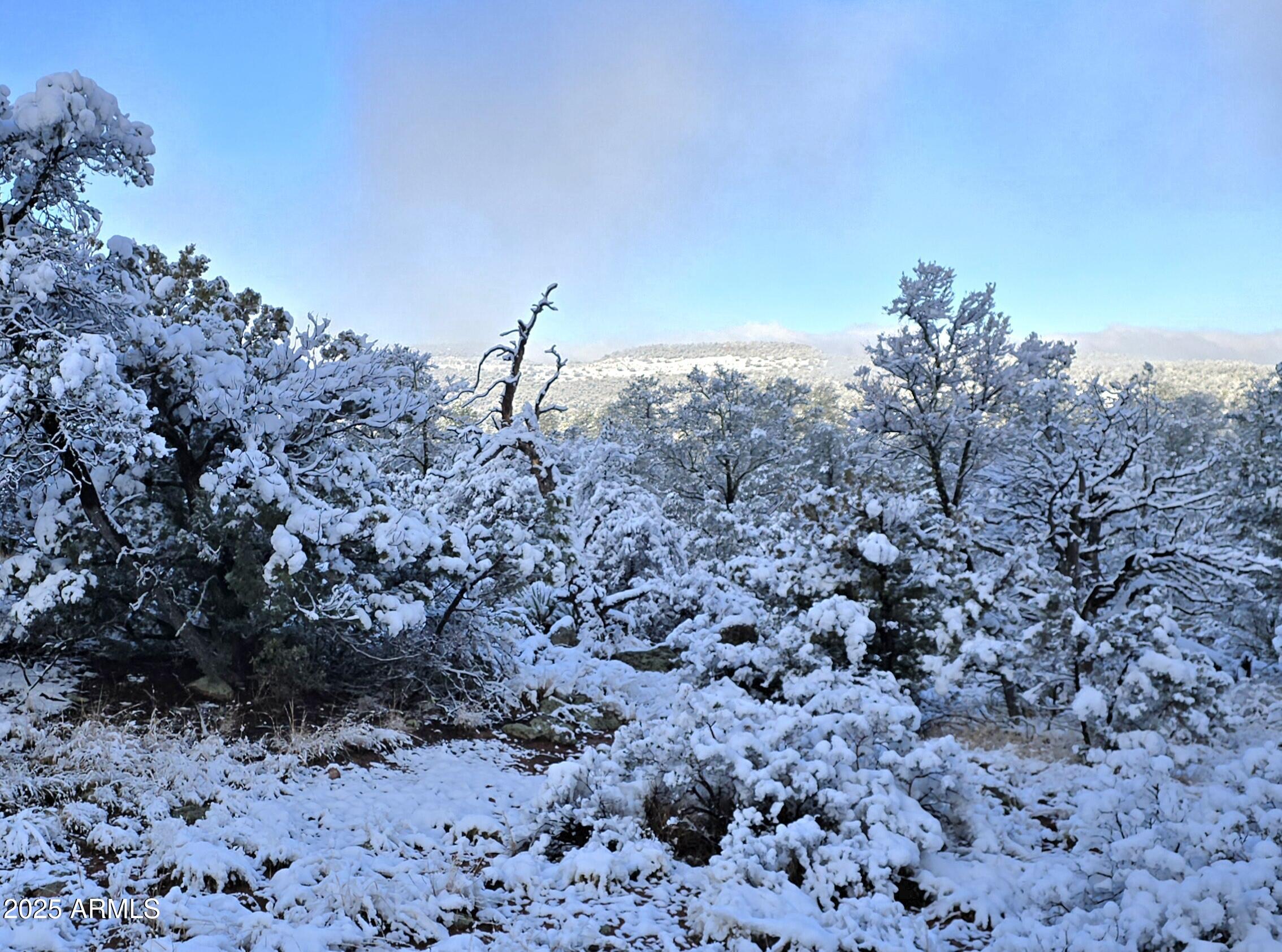 4H Ike Clark Parkway 2