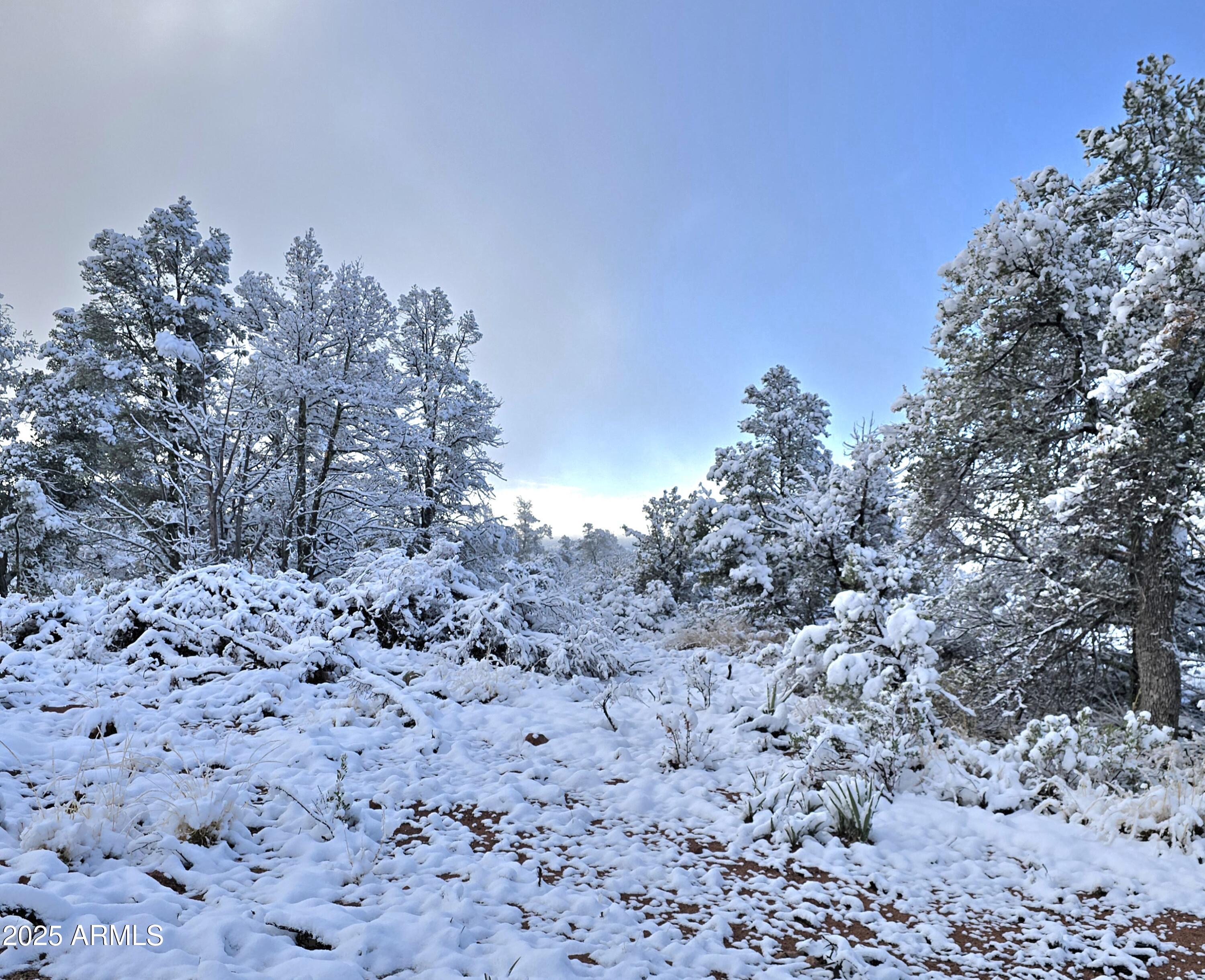 4H Ike Clark Parkway 2