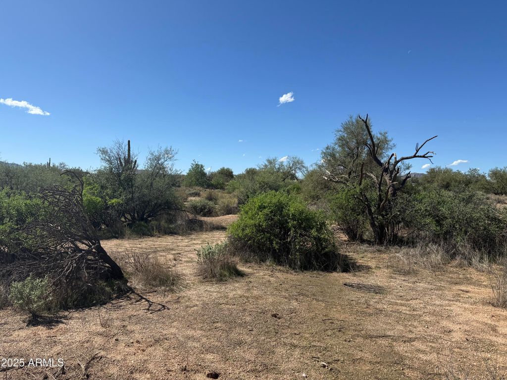 Photo of 308 N 164th Street #-, Scottsdale, AZ 85262 (MLS # 6935865)