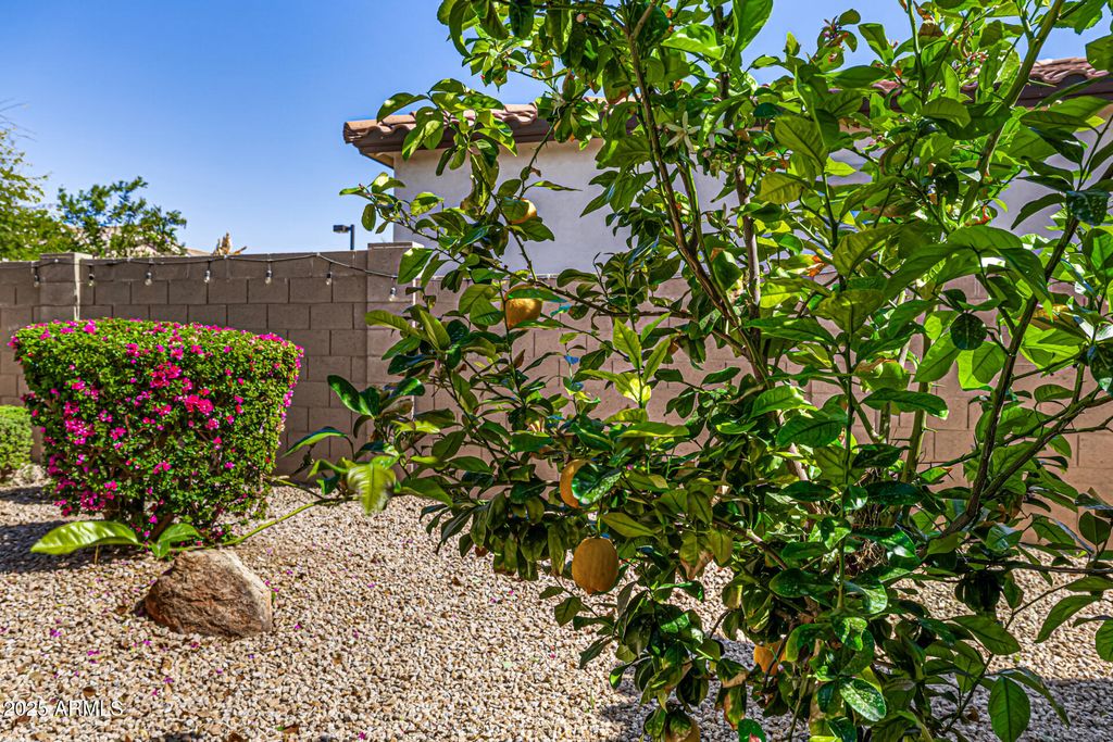 listing image 55