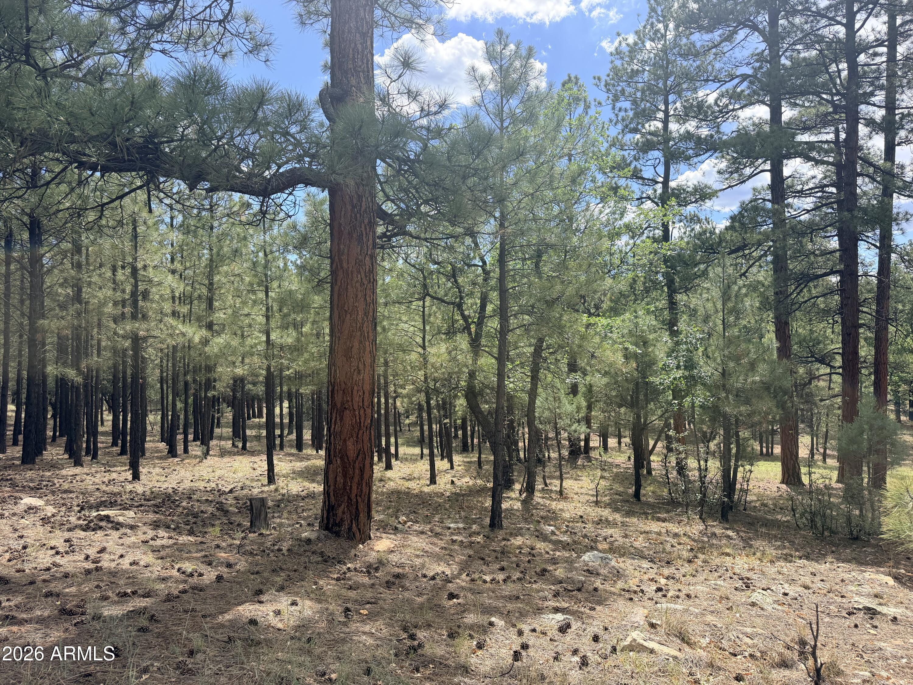 3212 APACHE Drive 589