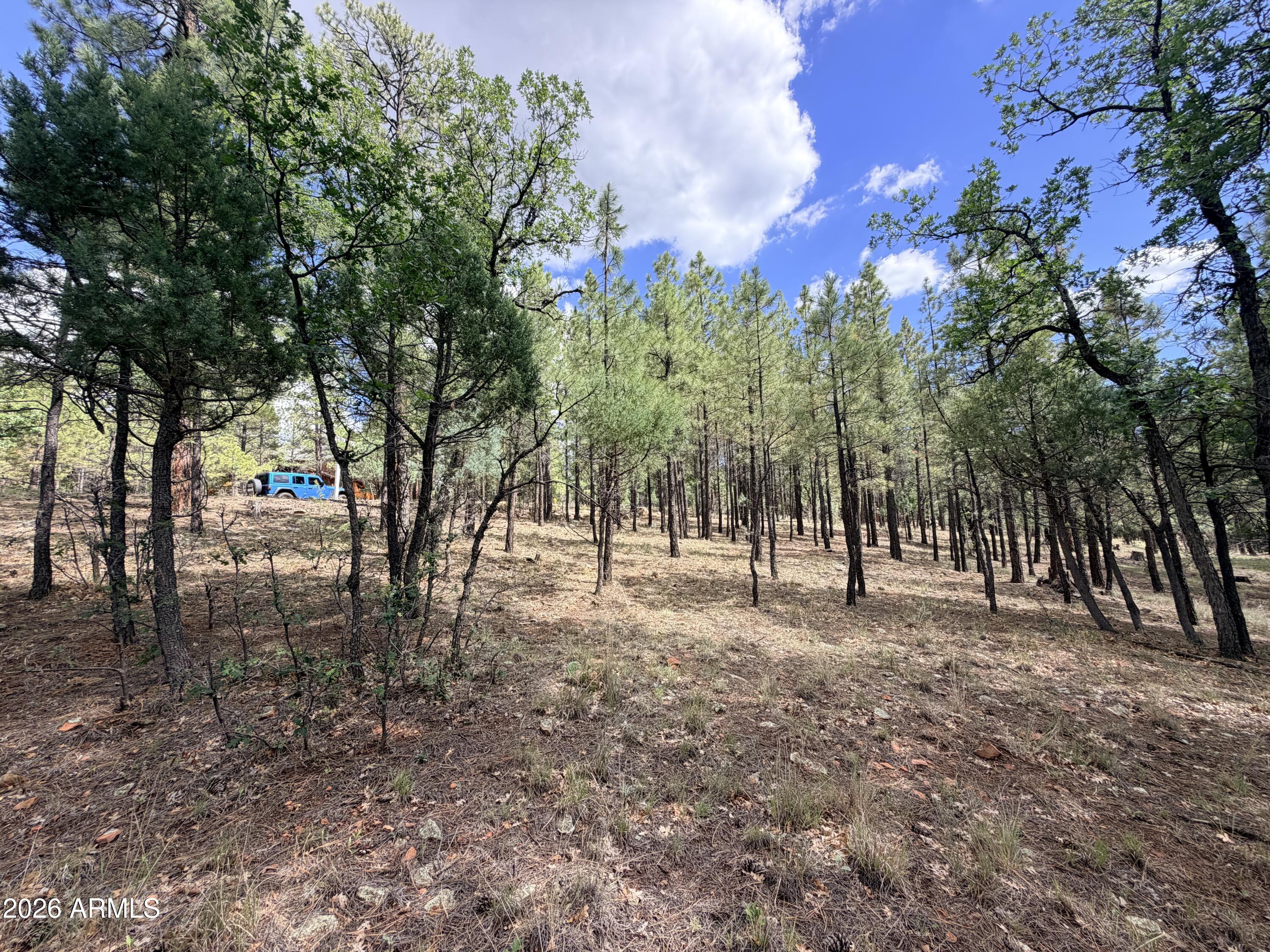 3212 APACHE Drive 589