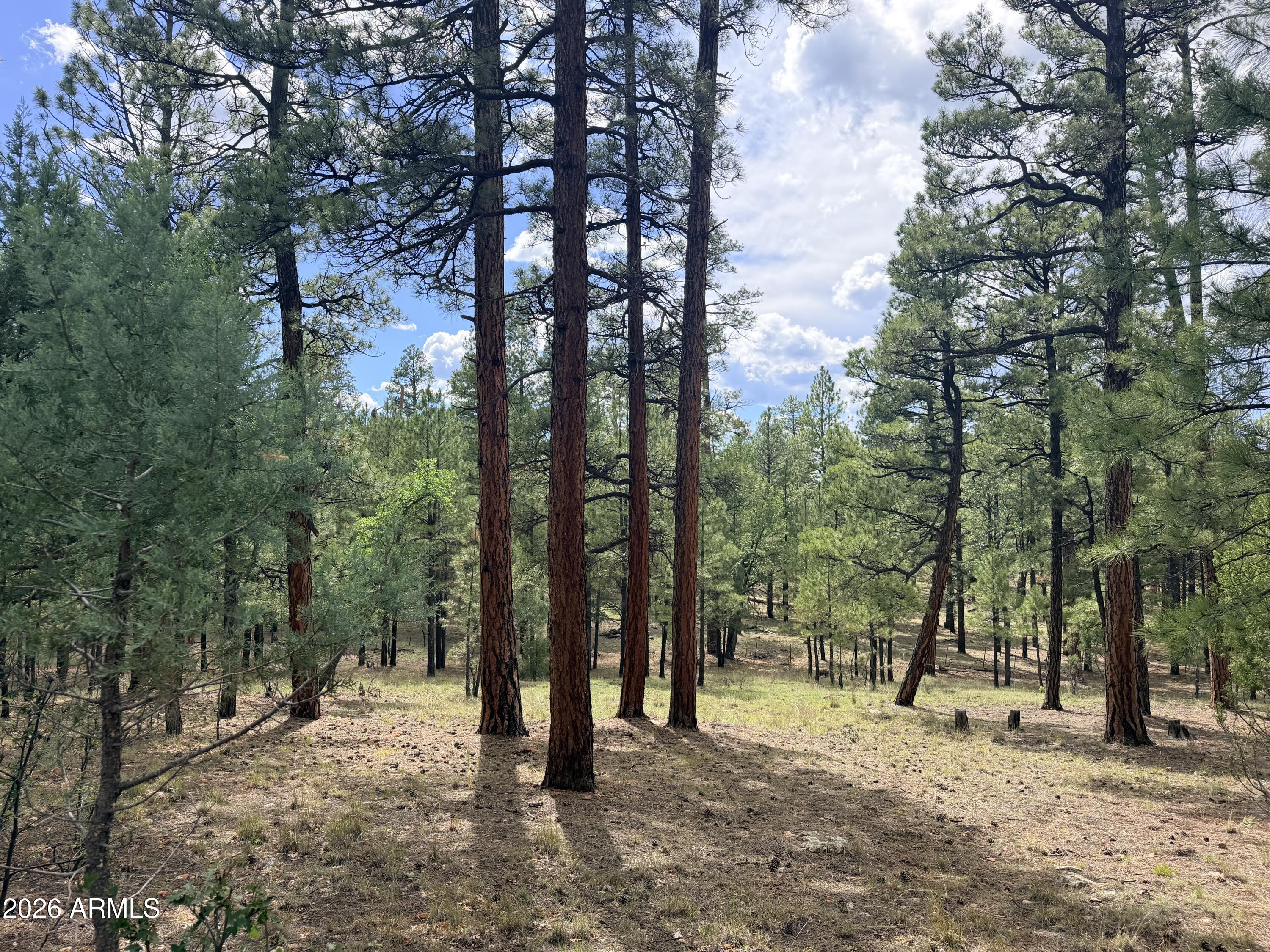 3212 APACHE Drive 589