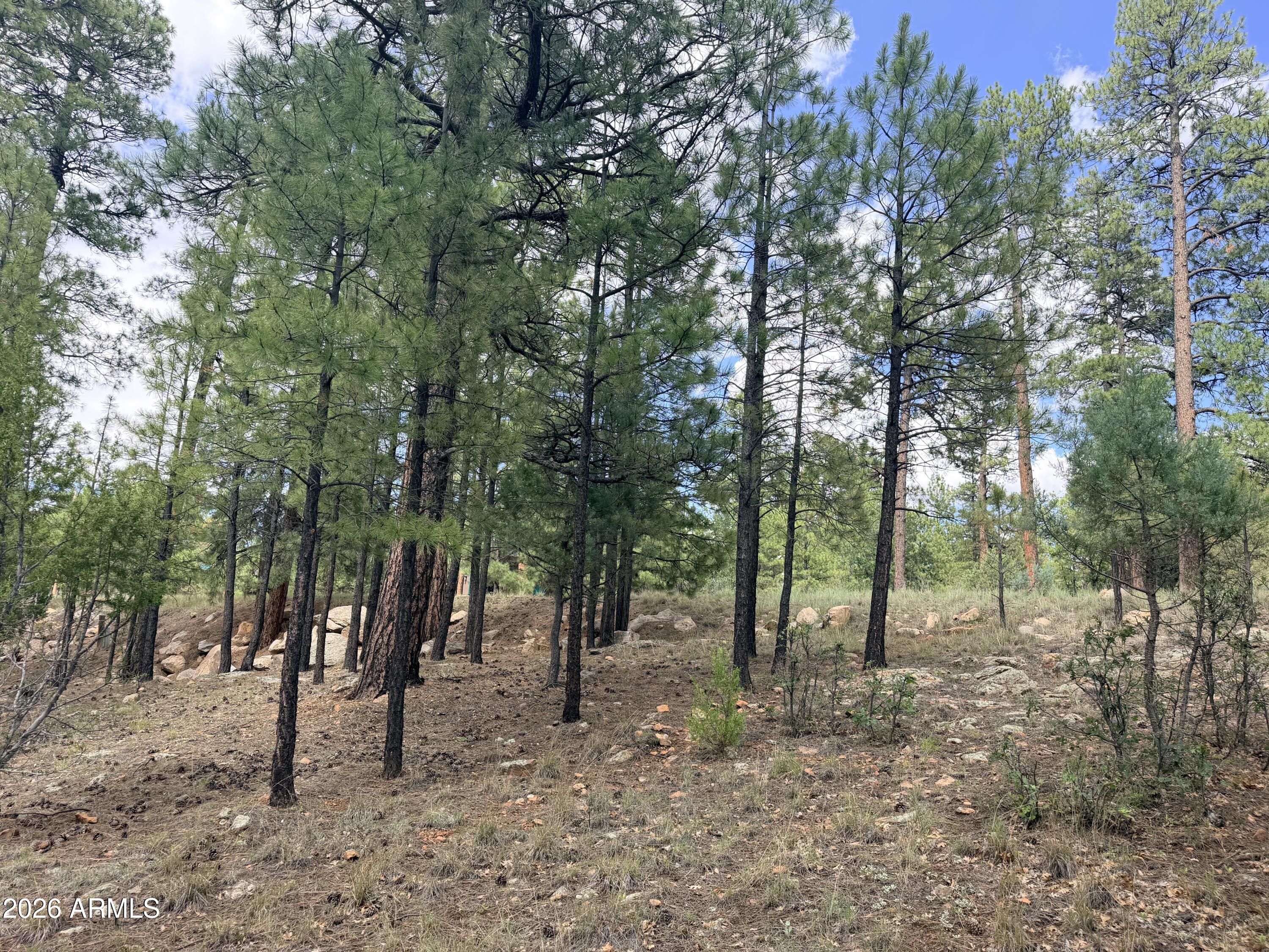 3212 APACHE Drive 589