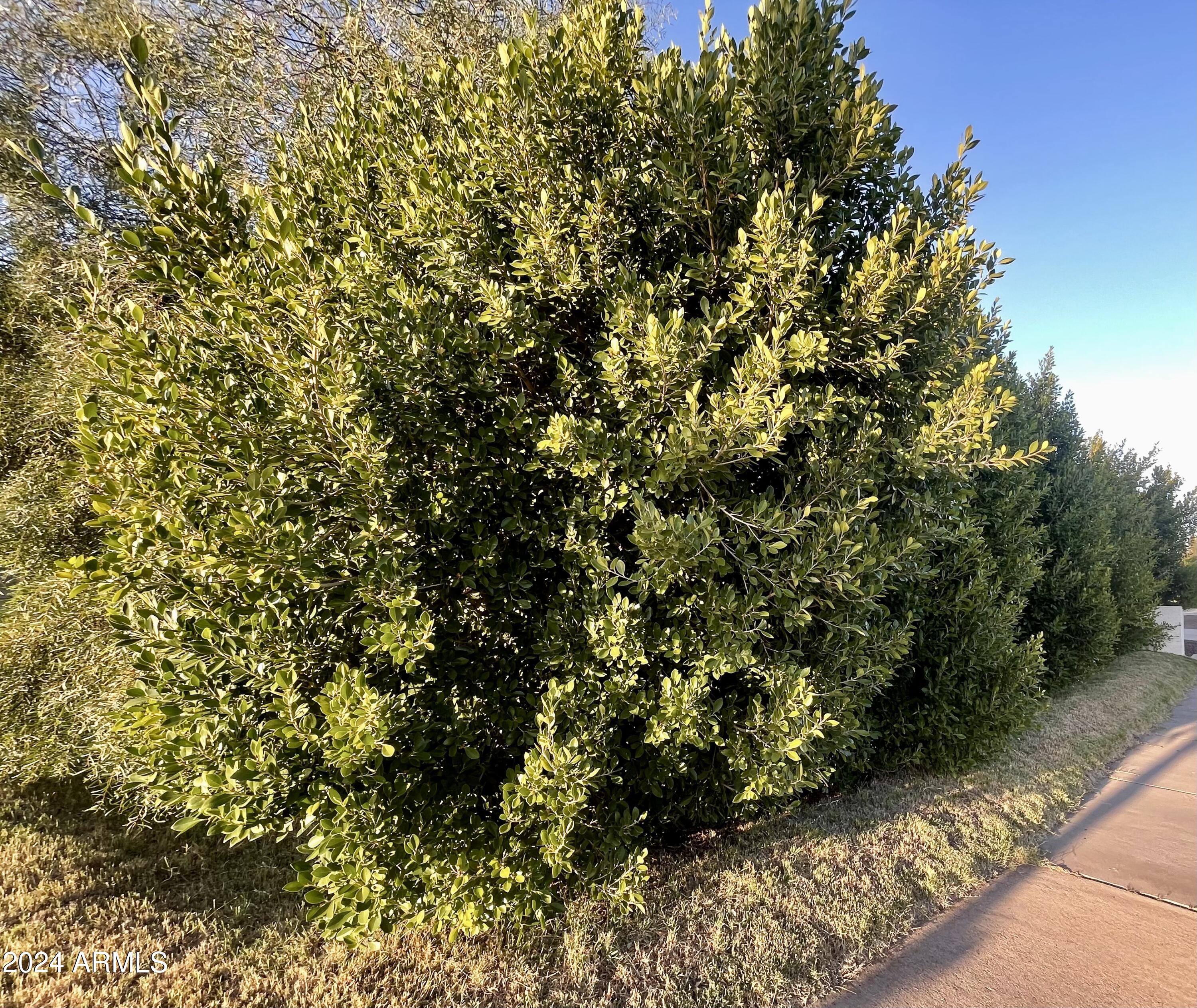 BEVERLY PARK - Residential