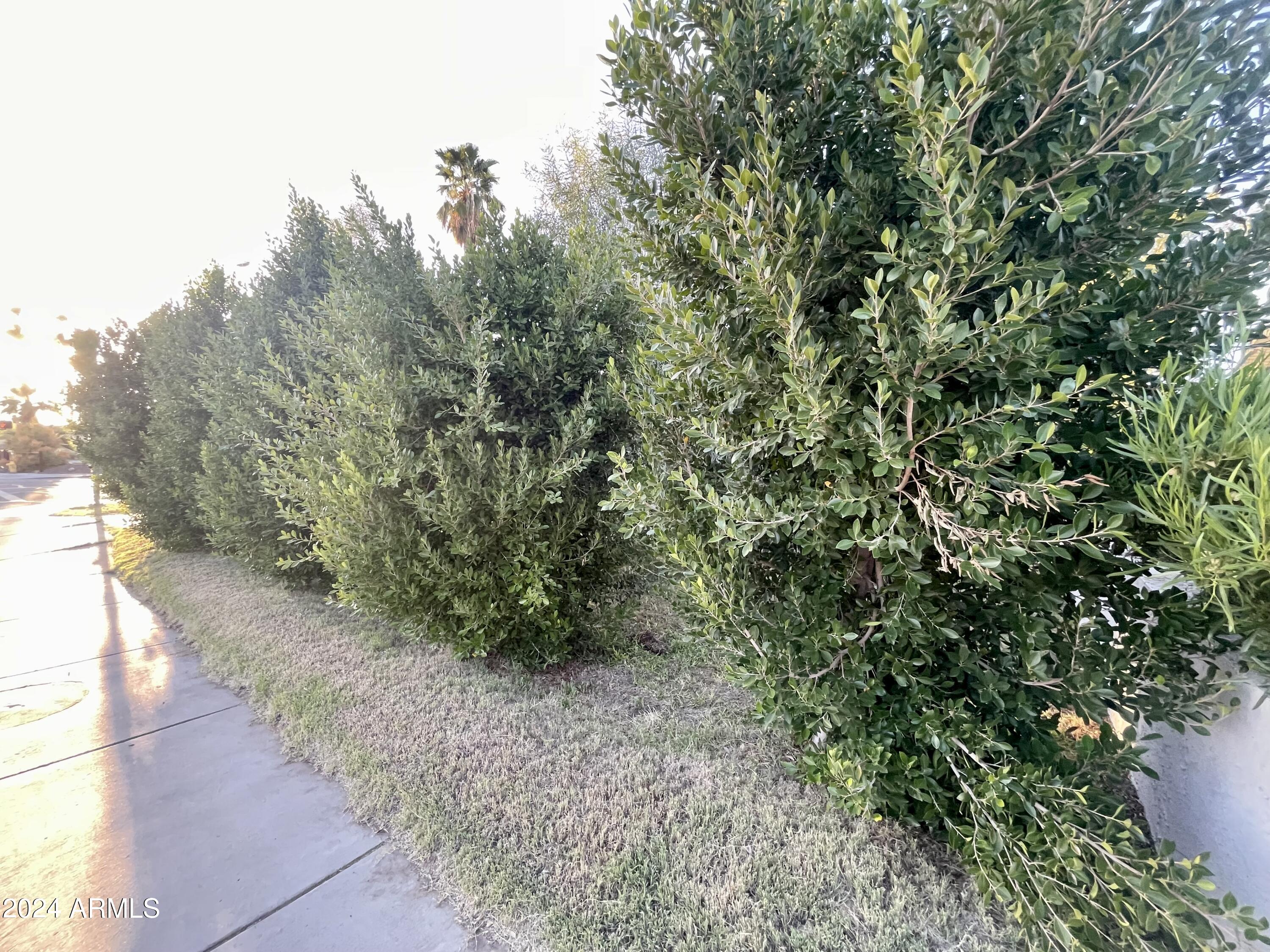BEVERLY PARK - Residential