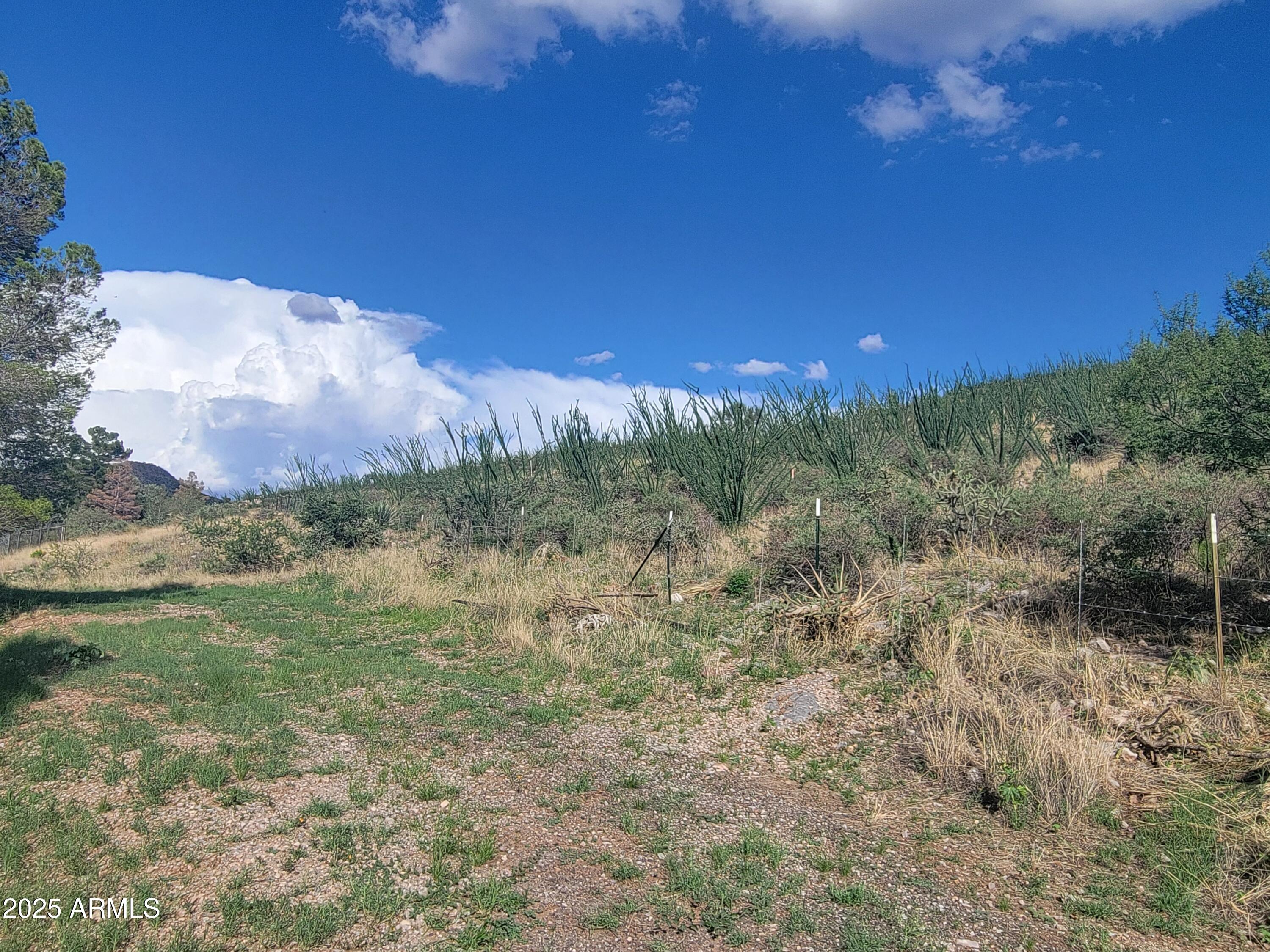 TBD 4.3 Ac Adsit Street 10113041C -LOT 3