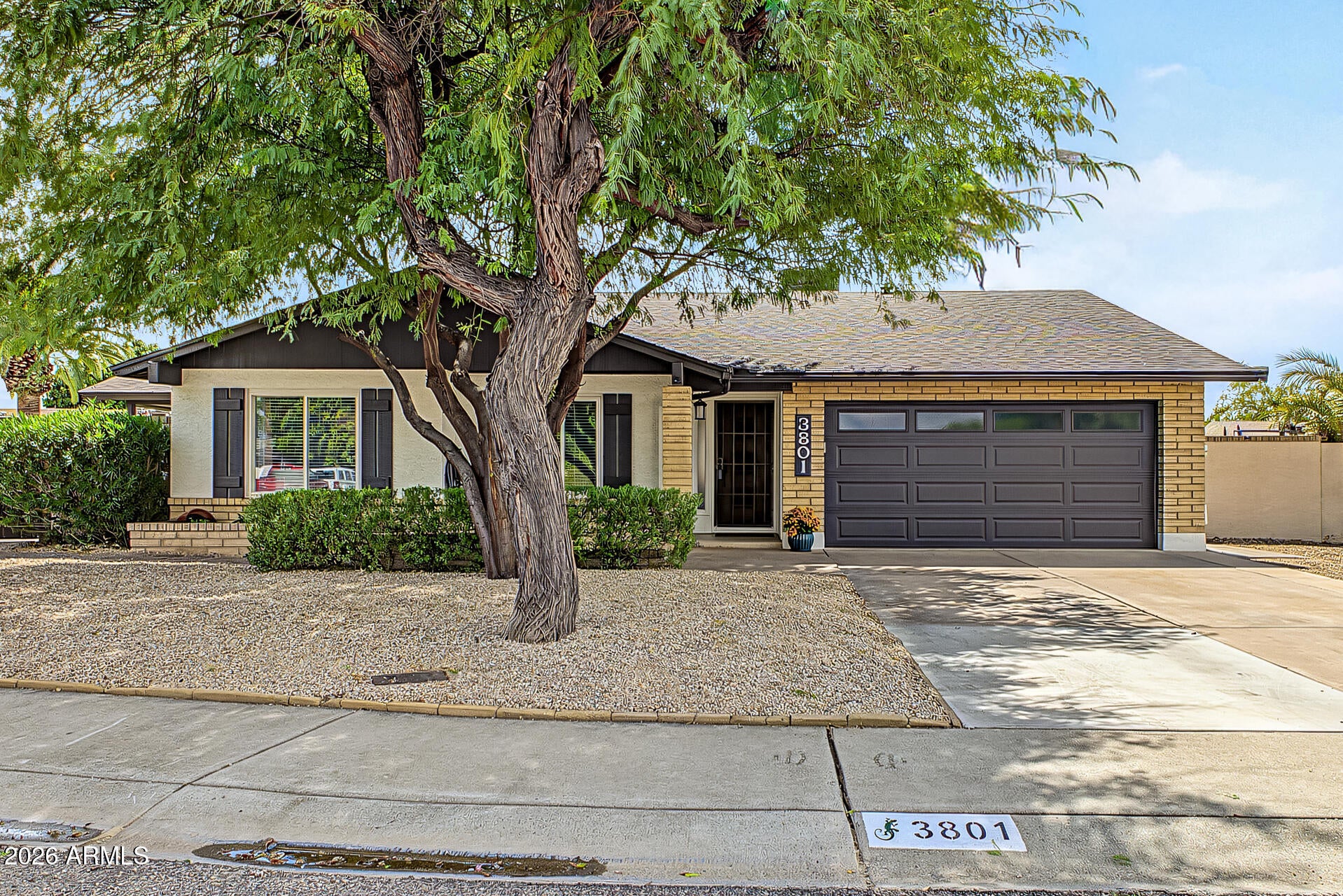 3801 W MURIEL Drive
