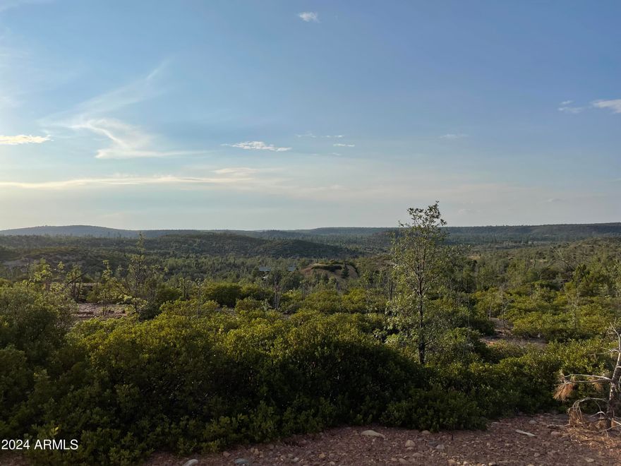 251 Acres total. Lots of potential. There is currently a well including water storage tank and electric. Owners currently have master plan layout of 101 residential lots.
