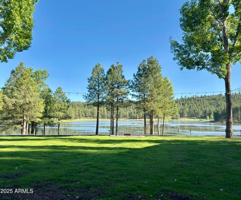 1015 E RAINTREE Road Munds Park AZ 86017