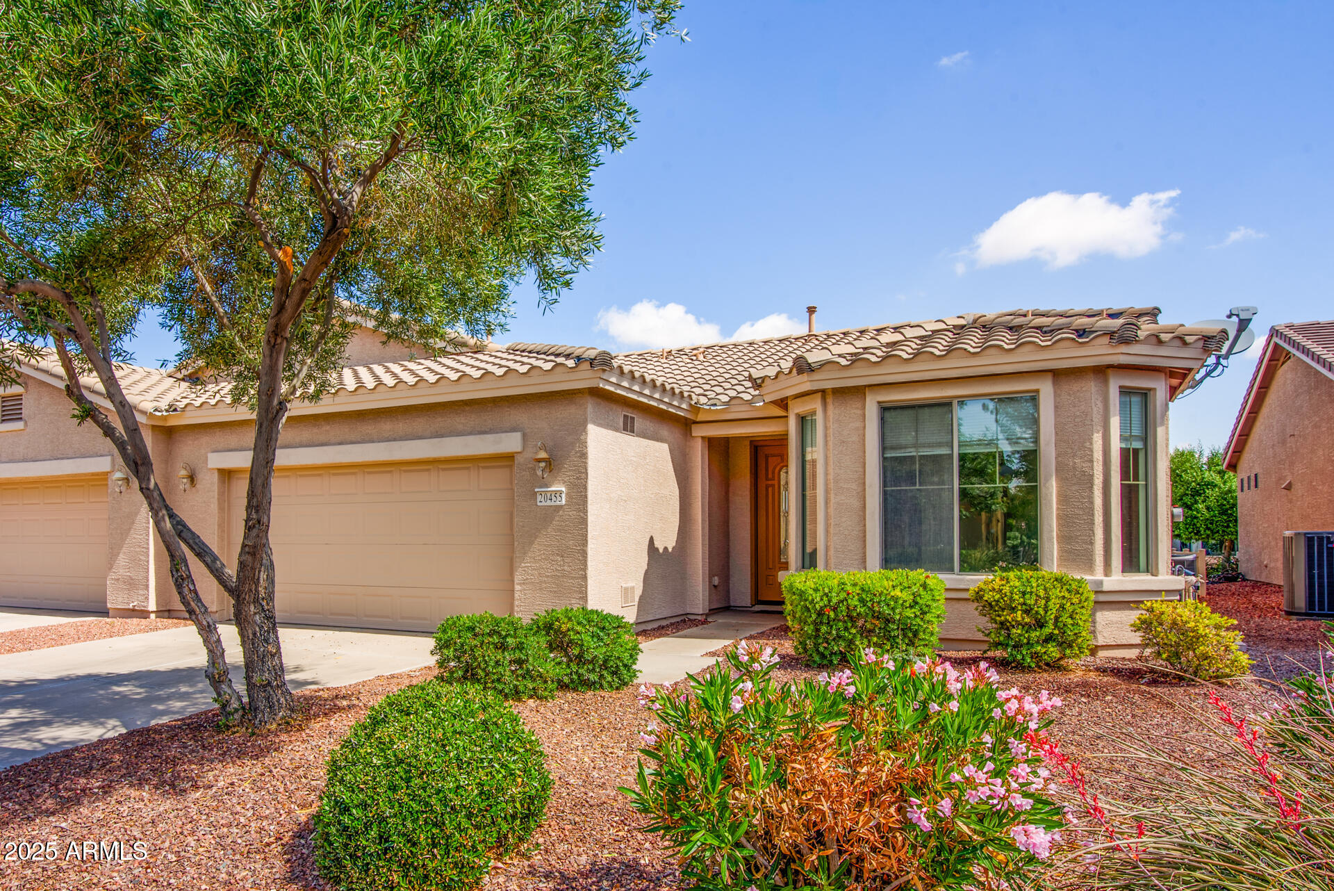 20455 N LEMON DROP Drive