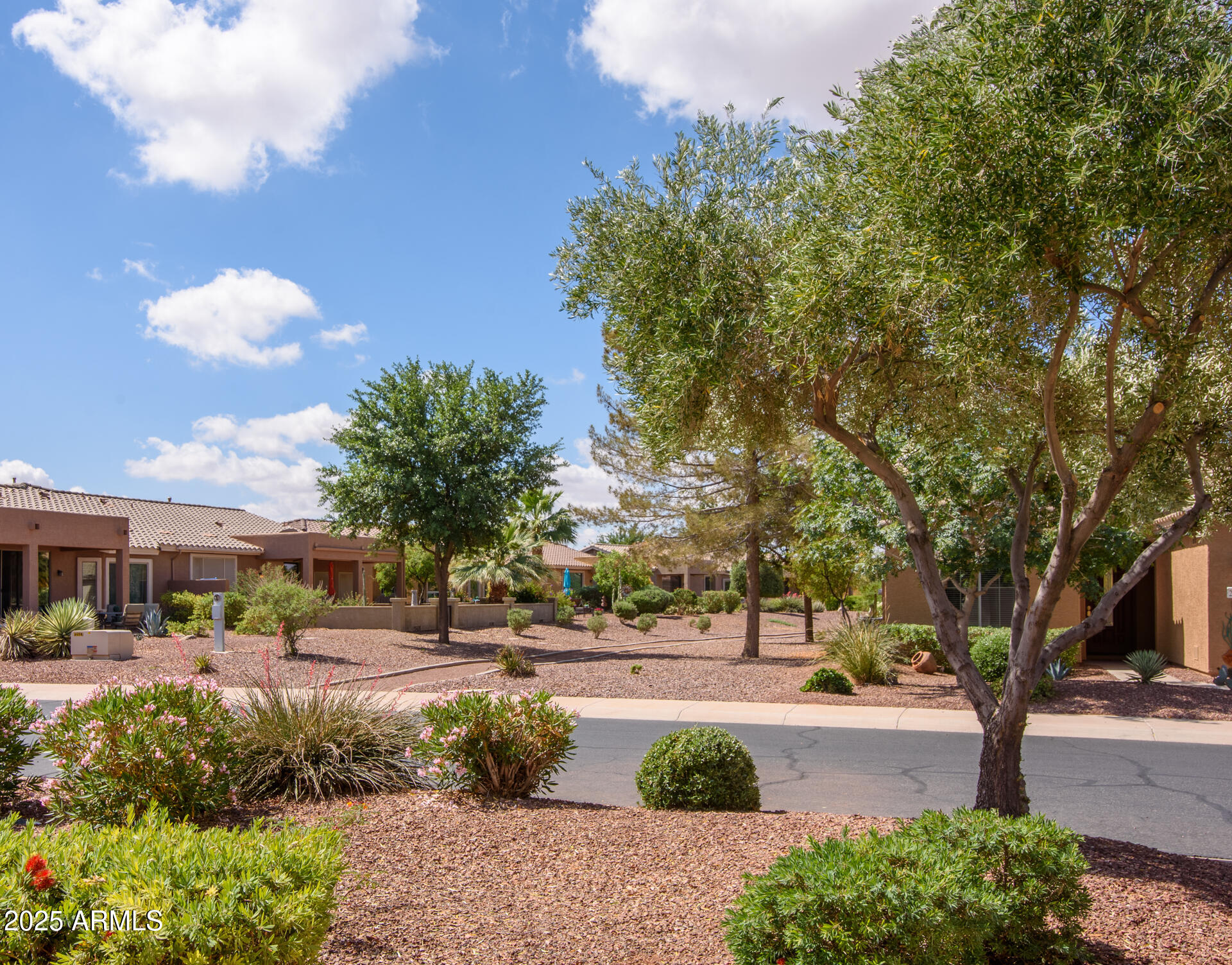 20455 N LEMON DROP Drive