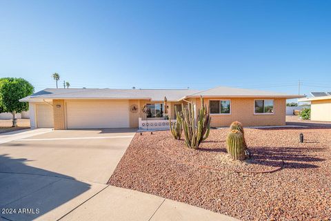 Single Family Residence in Sun City AZ 9710 Campana Drive.jpg