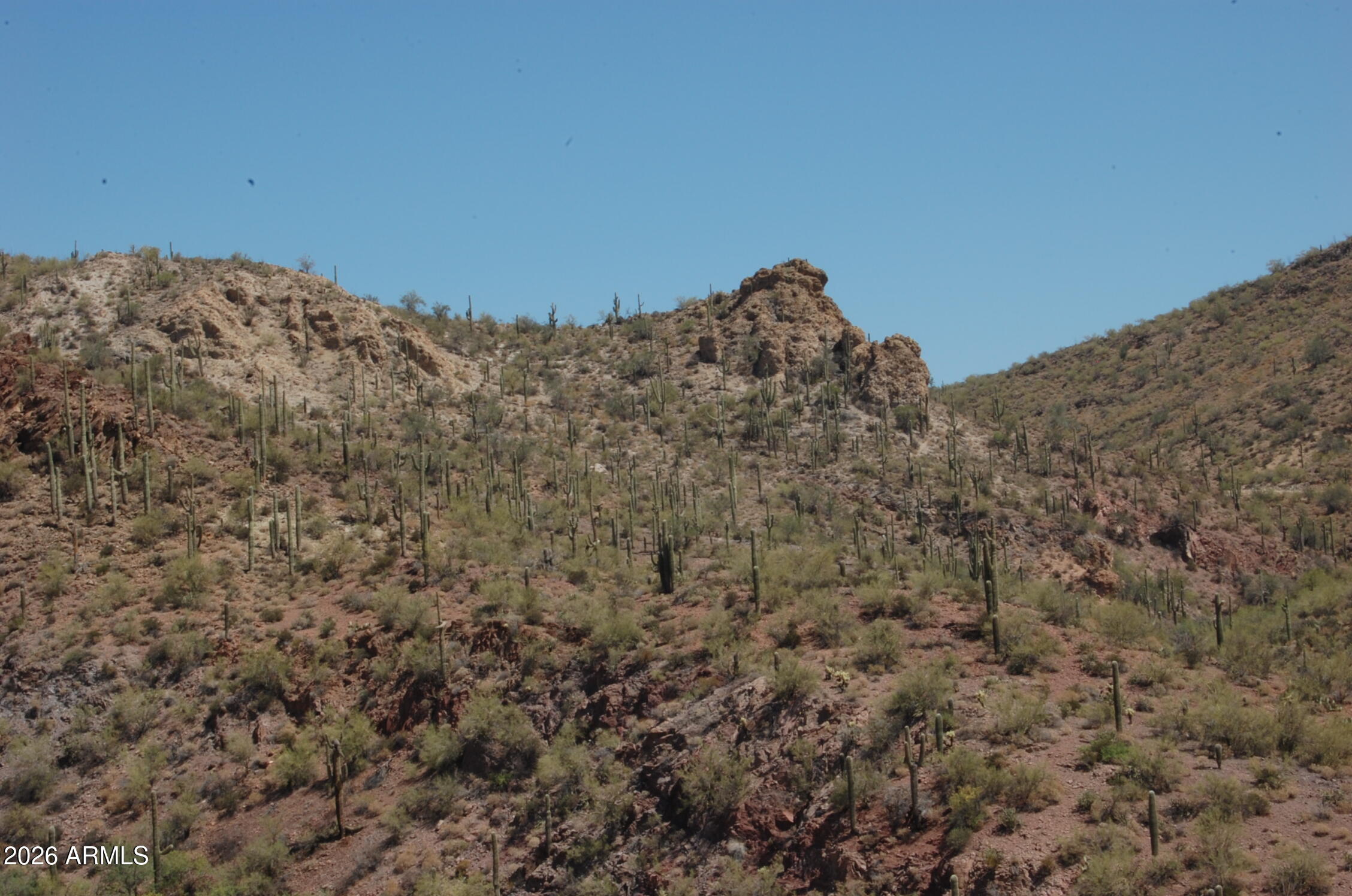 Pleasant Country Ranches - Land