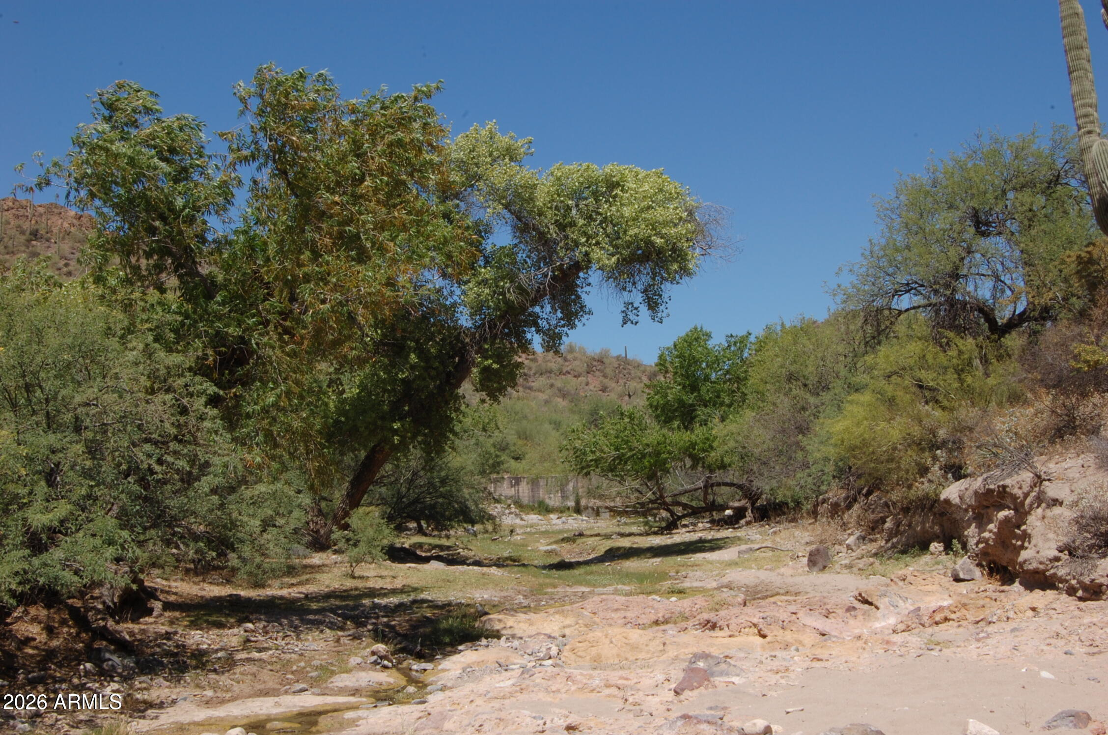 Pleasant Country Ranches - Land