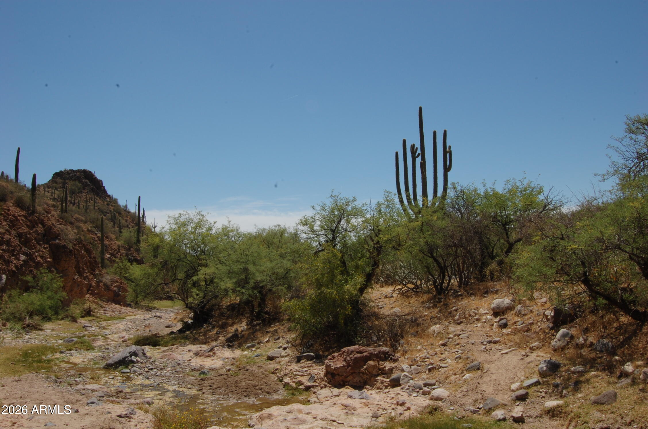 Pleasant Country Ranches - Land