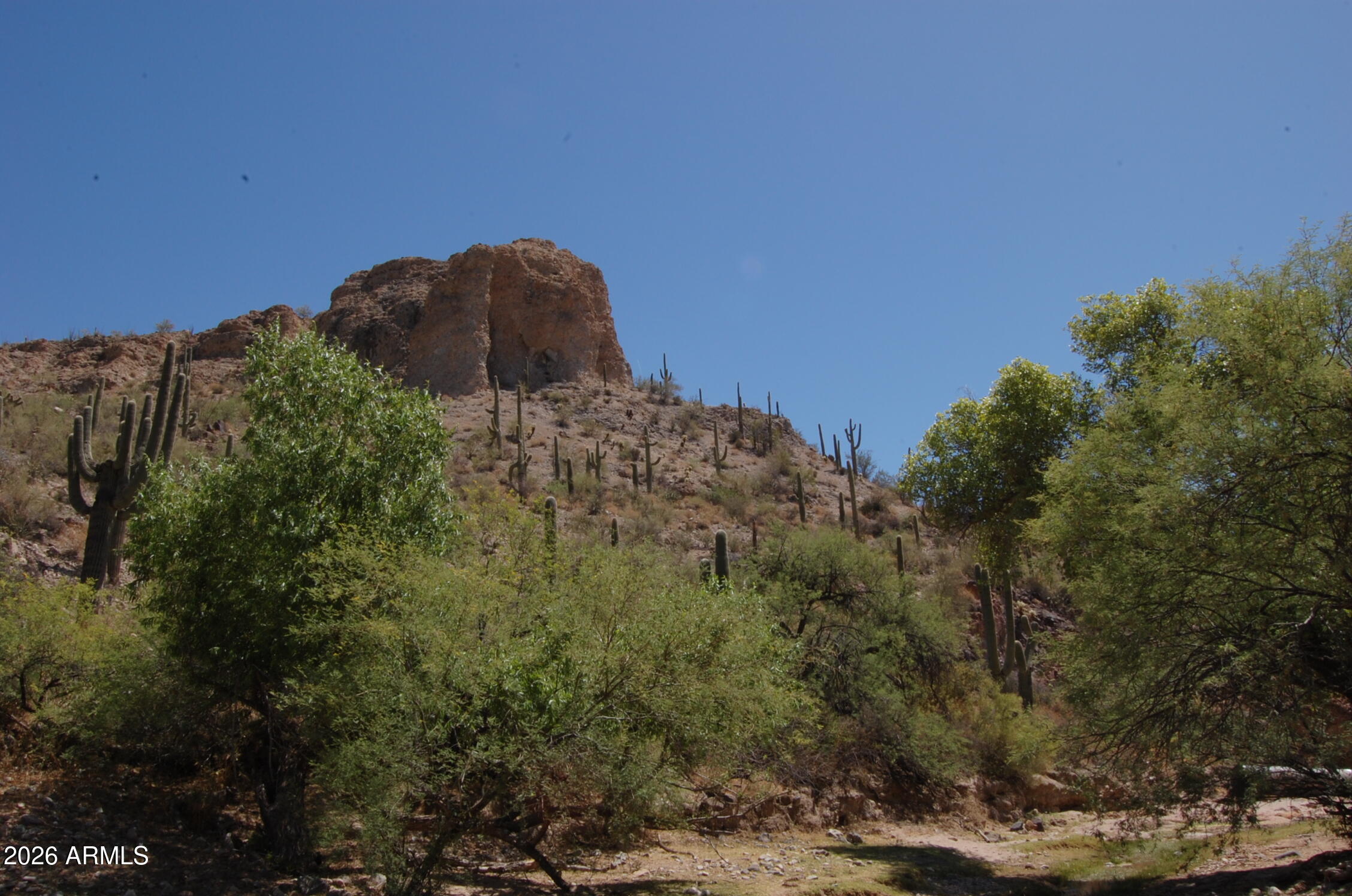 Pleasant Country Ranches - Land