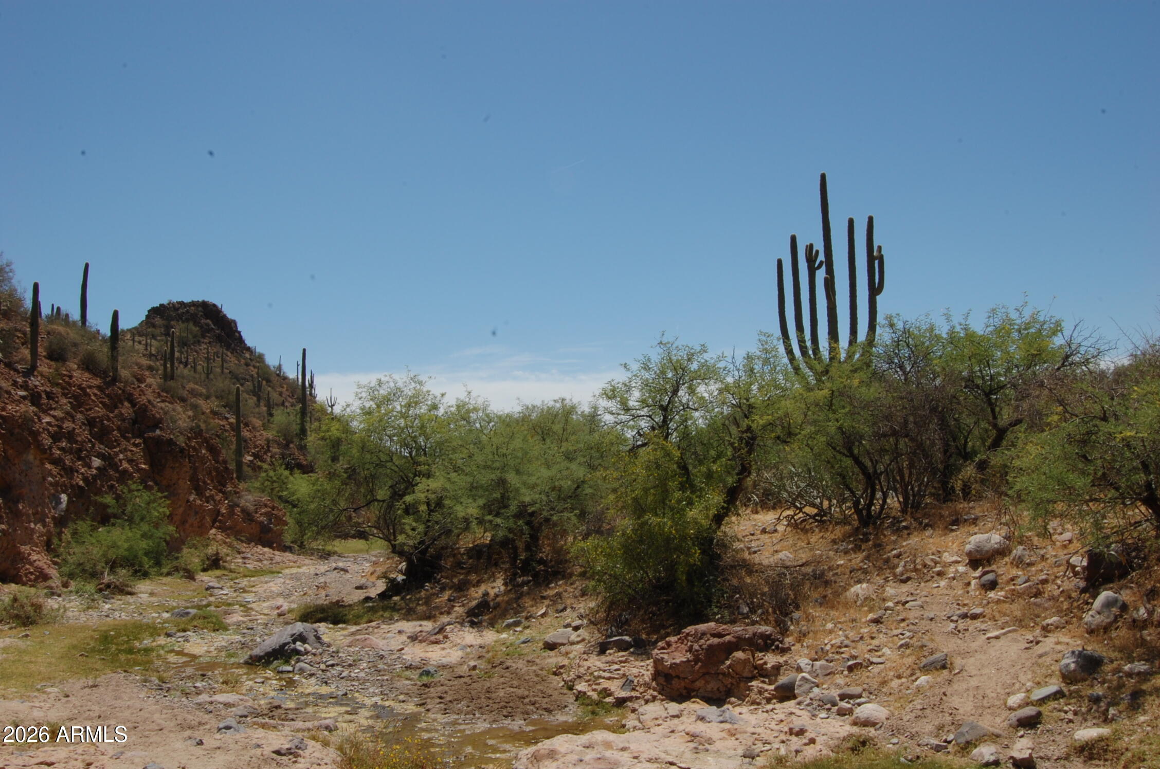 Pleasant Country Ranches - Land