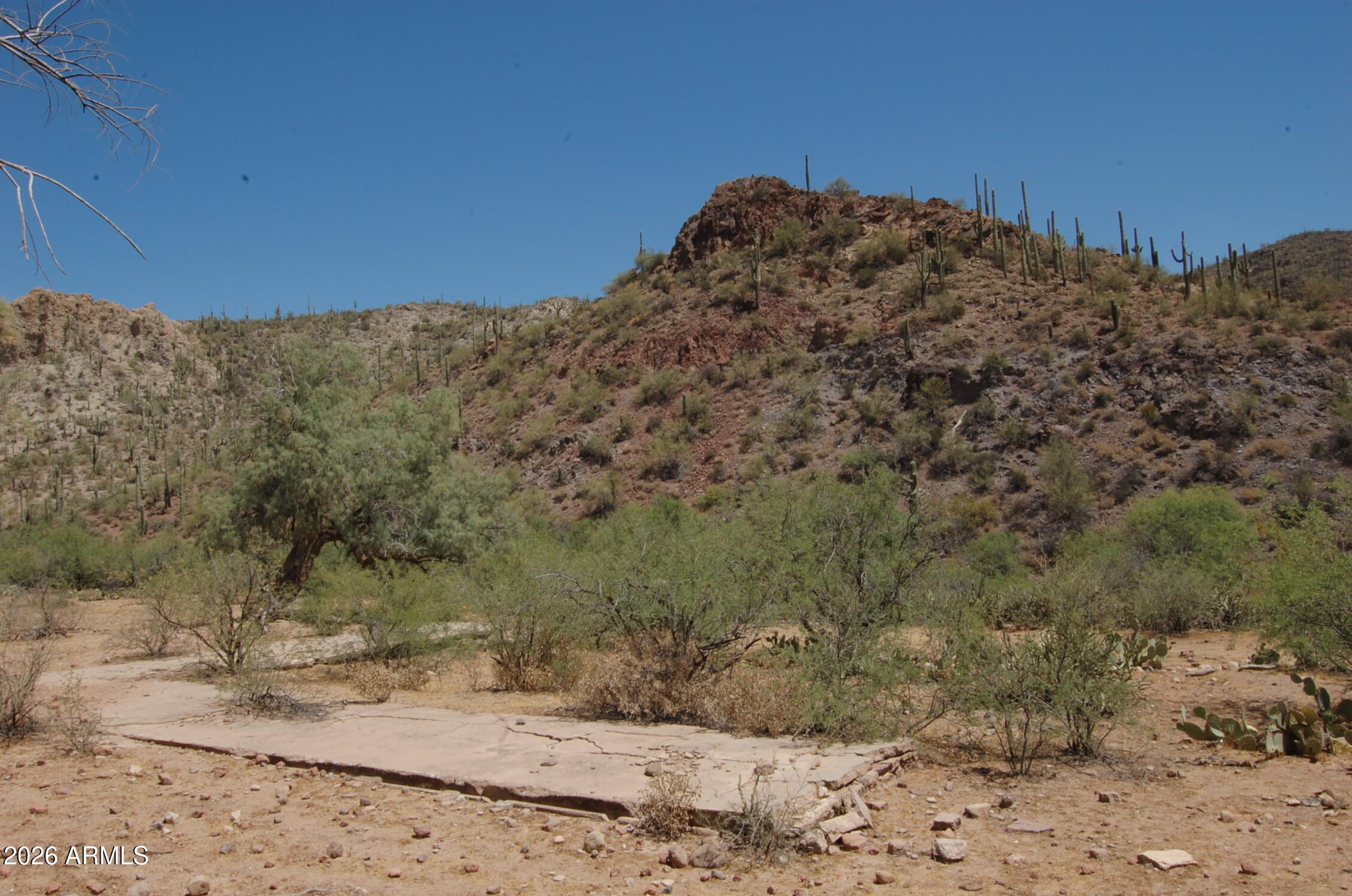 Pleasant Country Ranches - Land