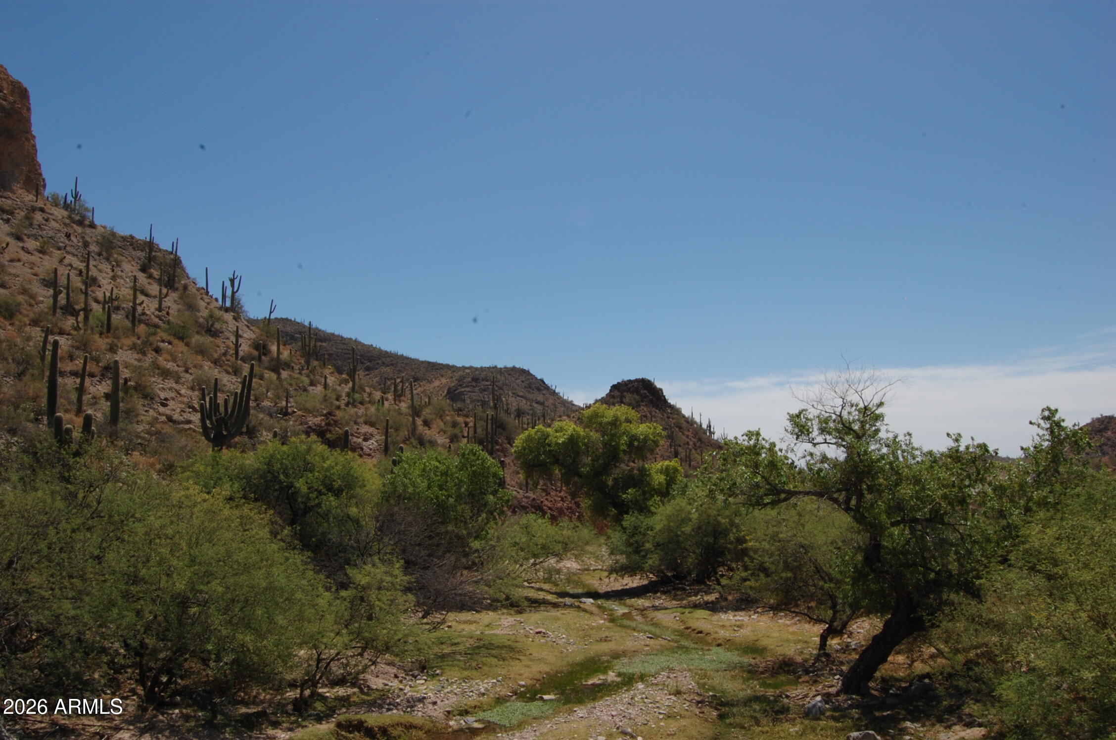 Pleasant Country Ranches - Land