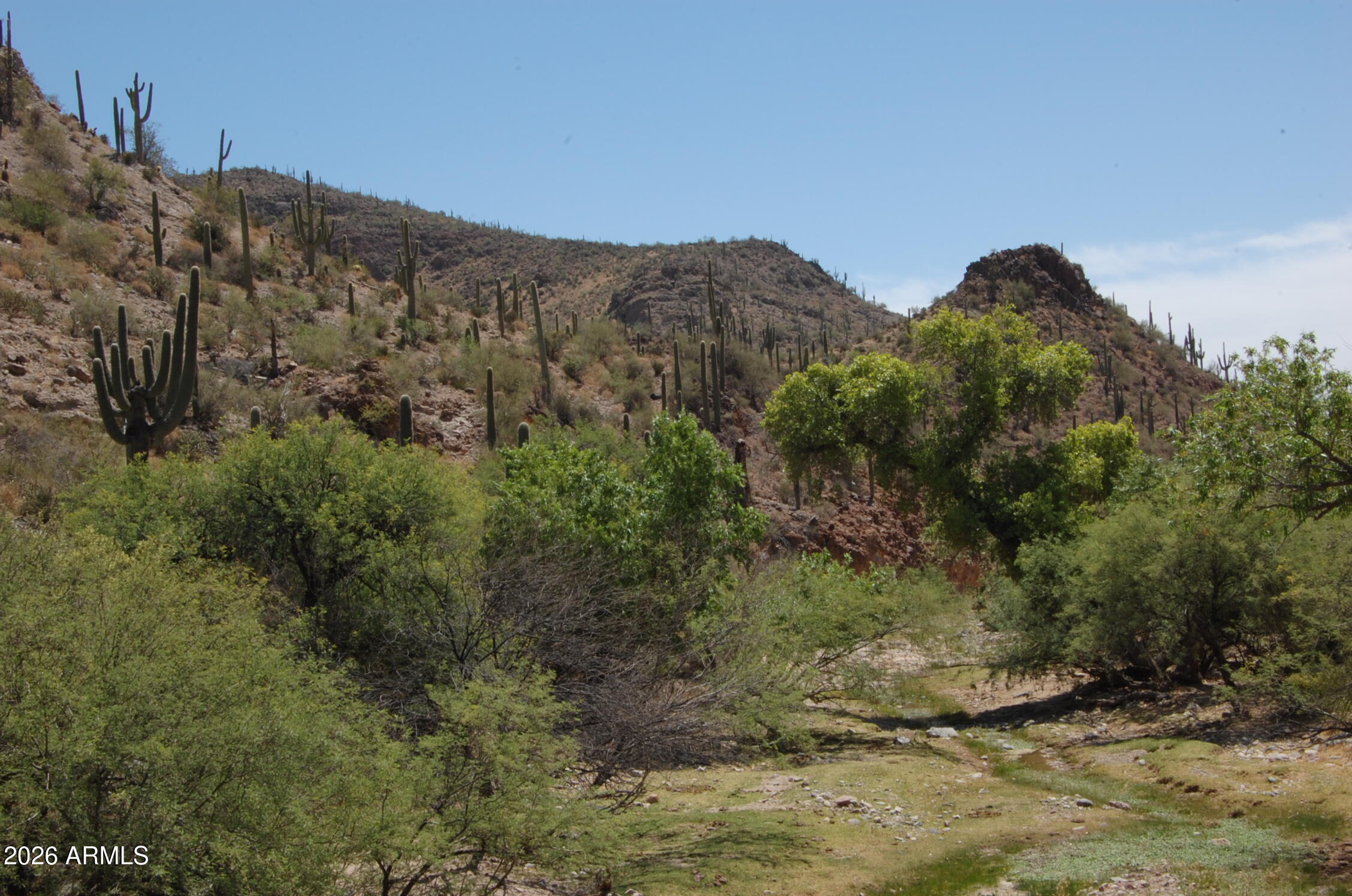 Pleasant Country Ranches - Land