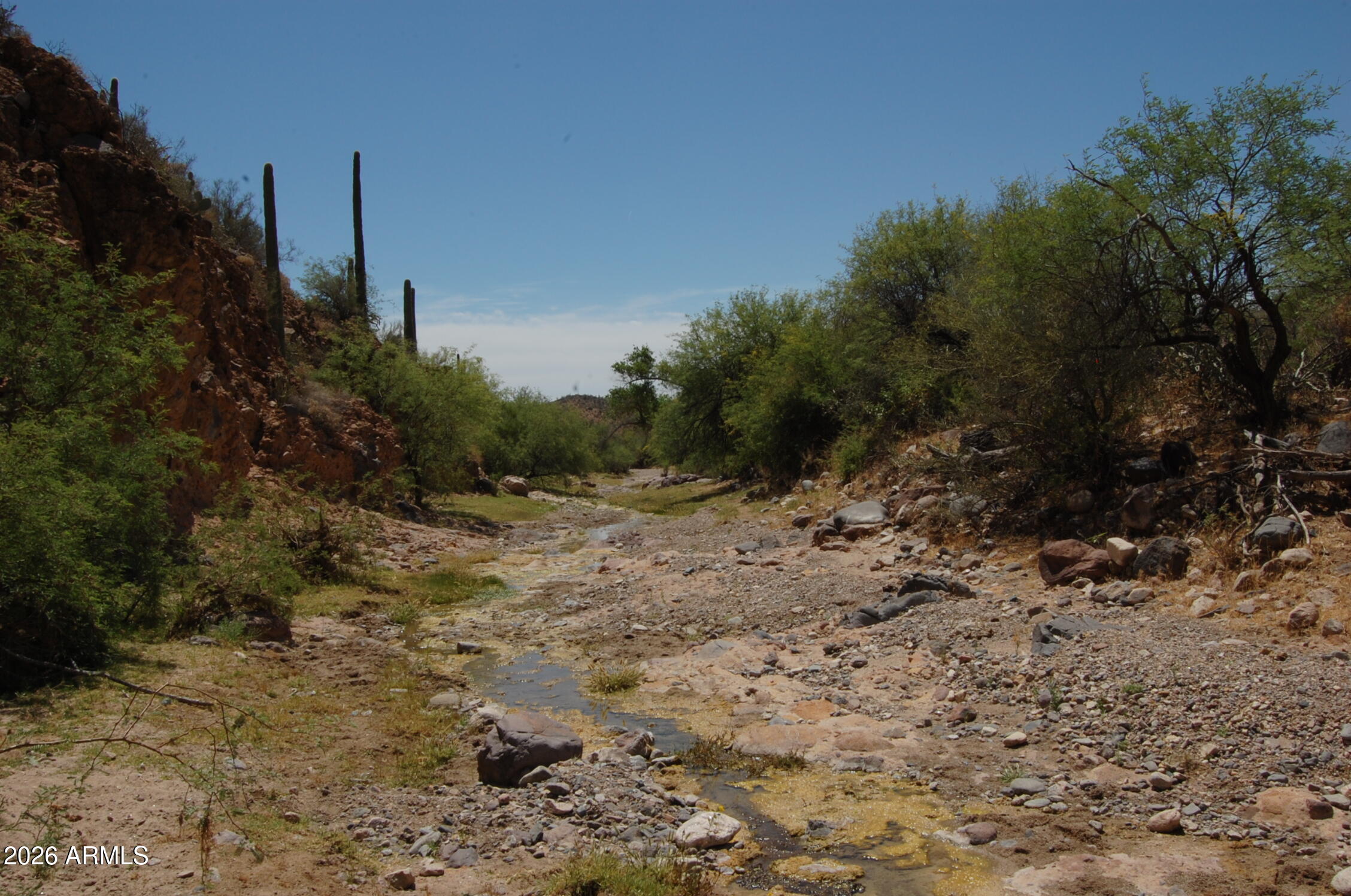 Pleasant Country Ranches - Land