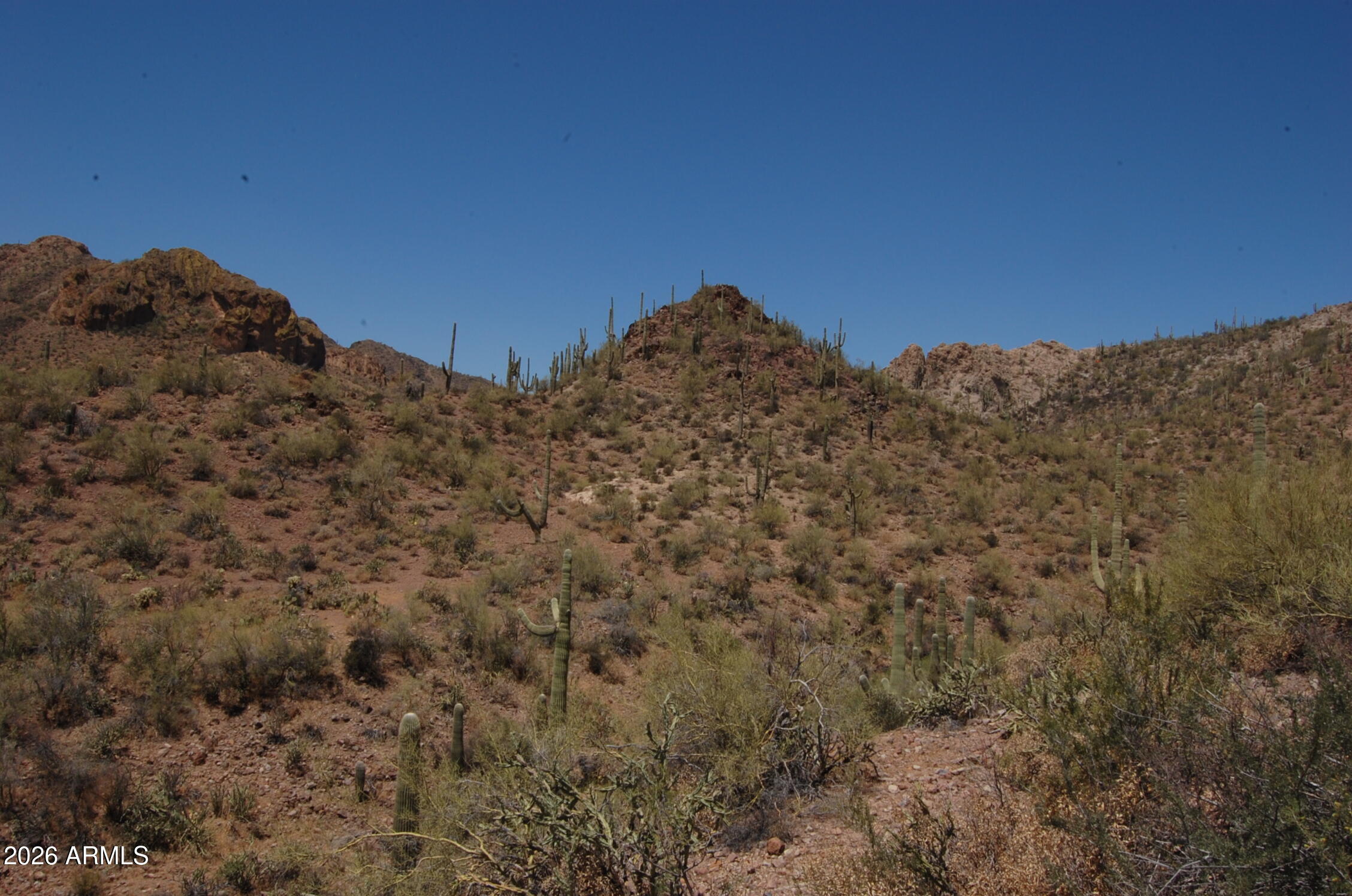 Pleasant Country Ranches - Land