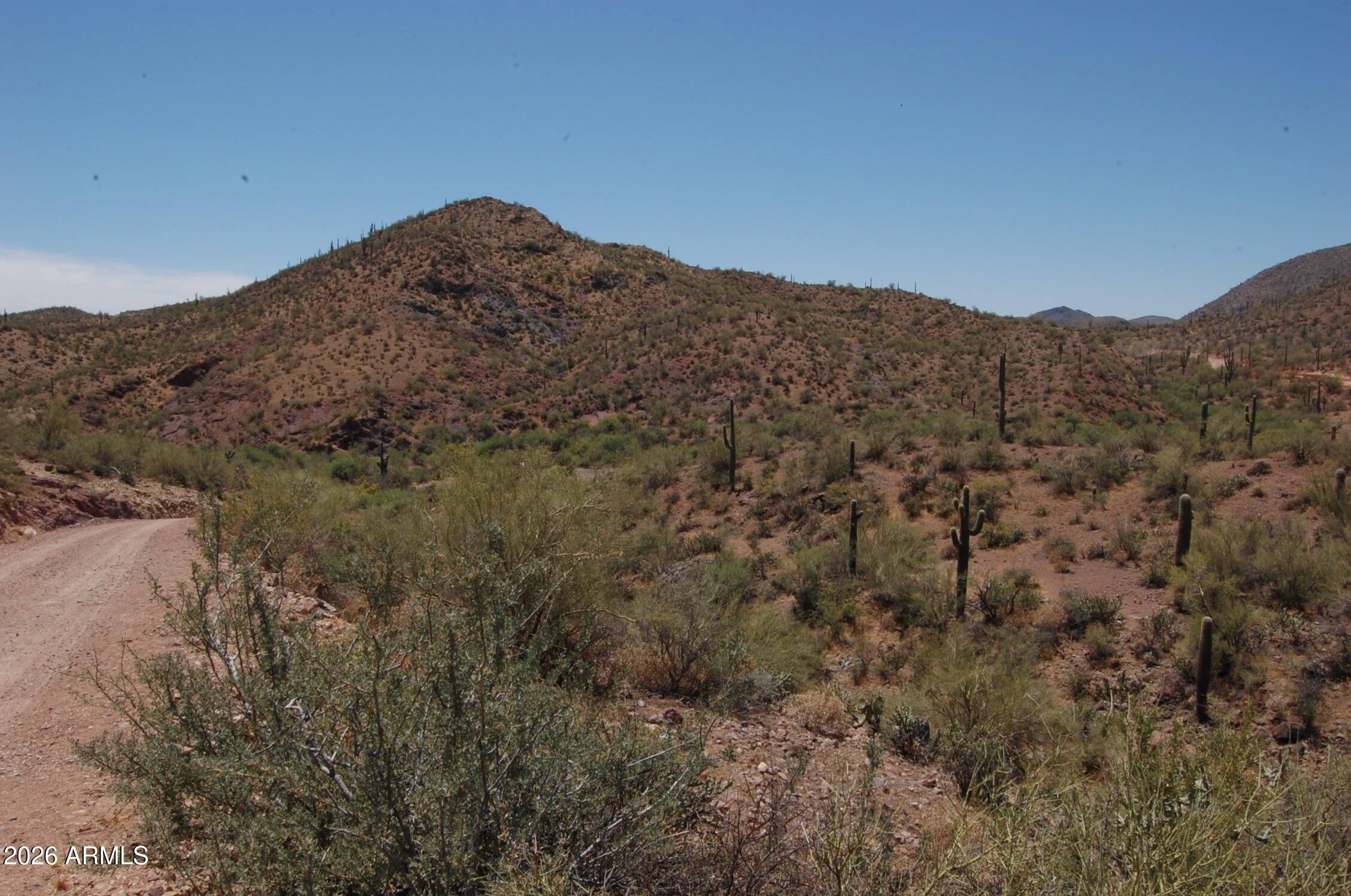 Pleasant Country Ranches - Land