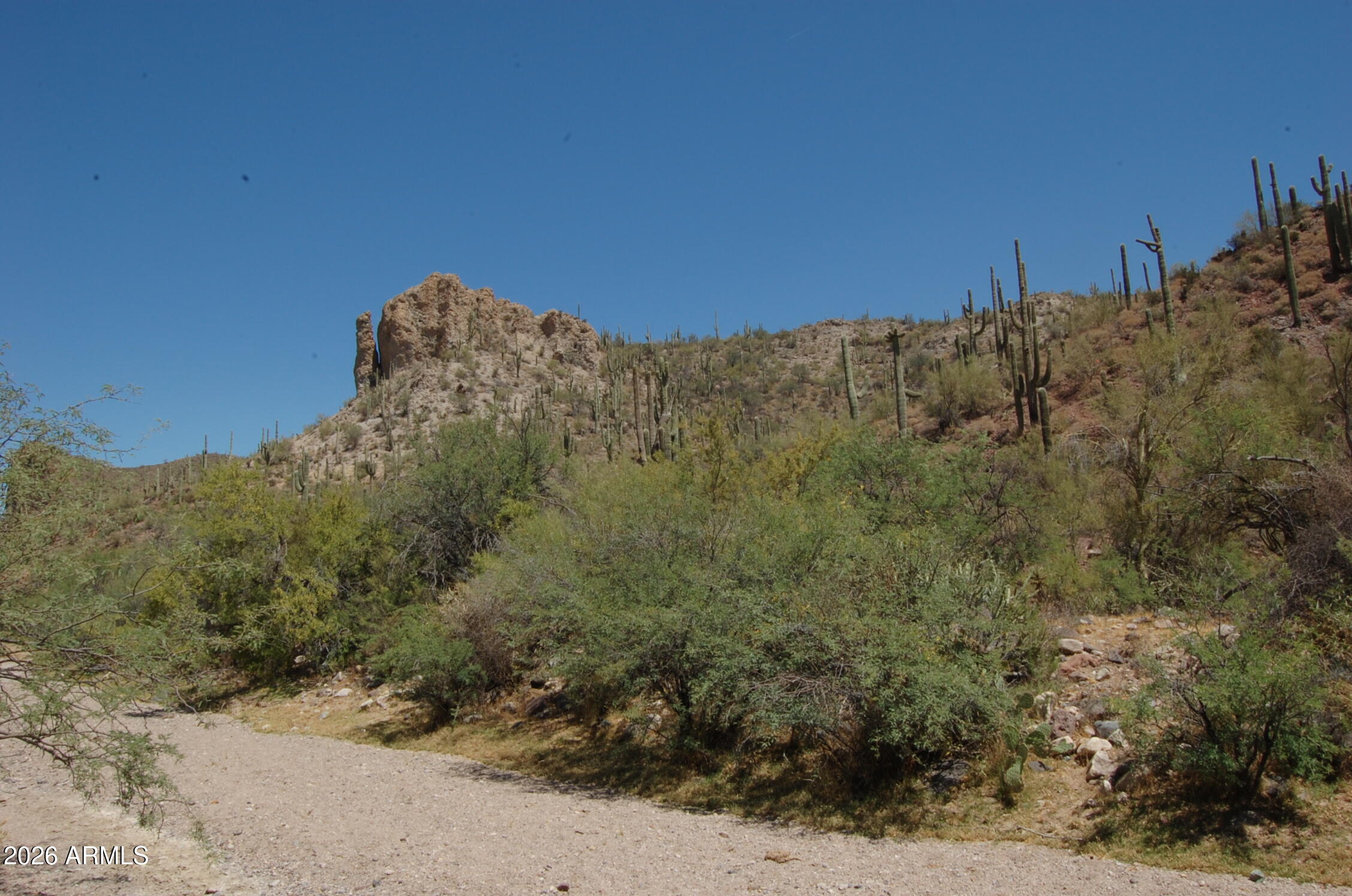 Pleasant Country Ranches - Land