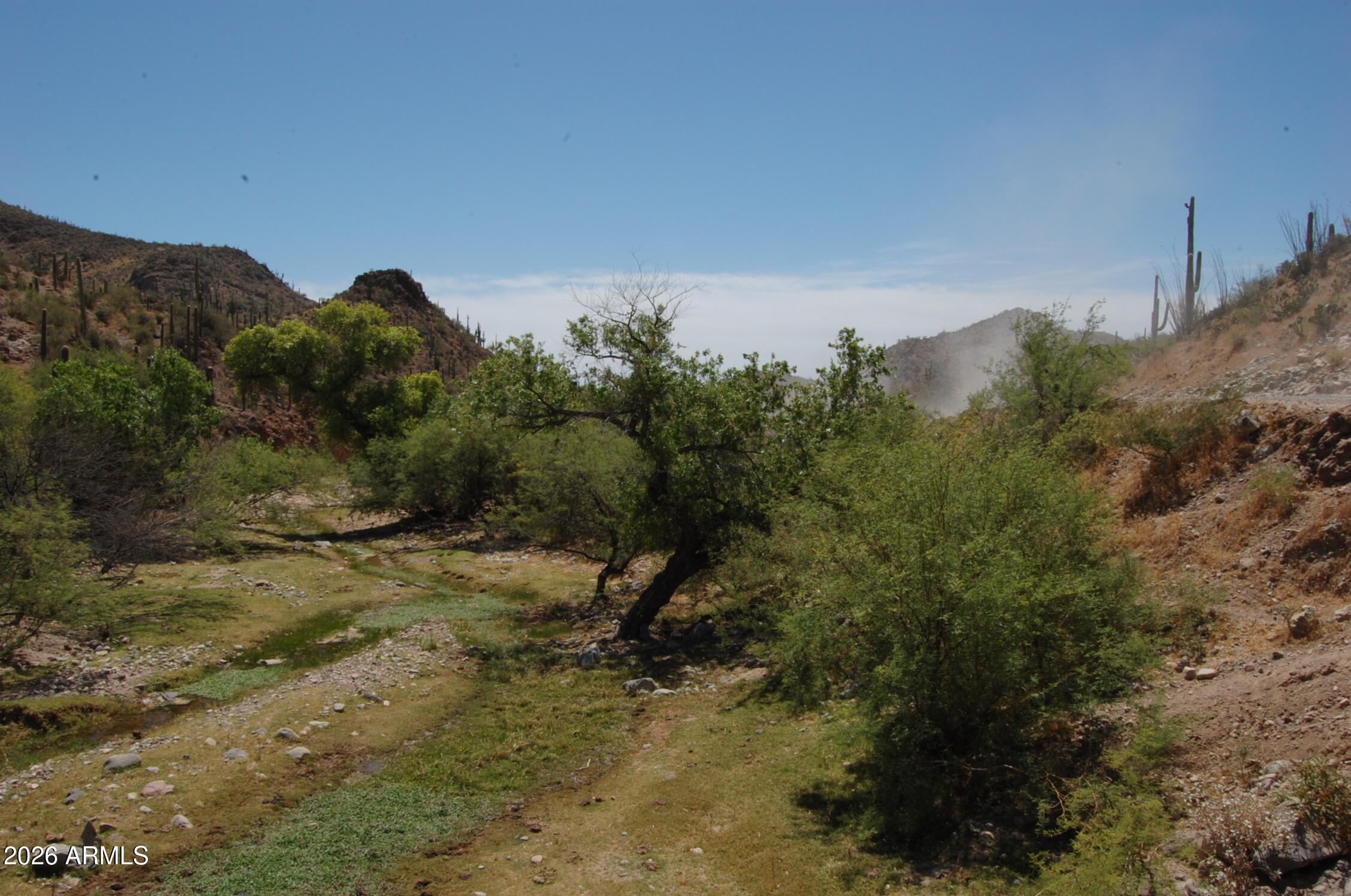 Pleasant Country Ranches - Land