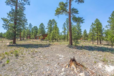 2906 DURANGO Drive 16 Happy Jack AZ 86024