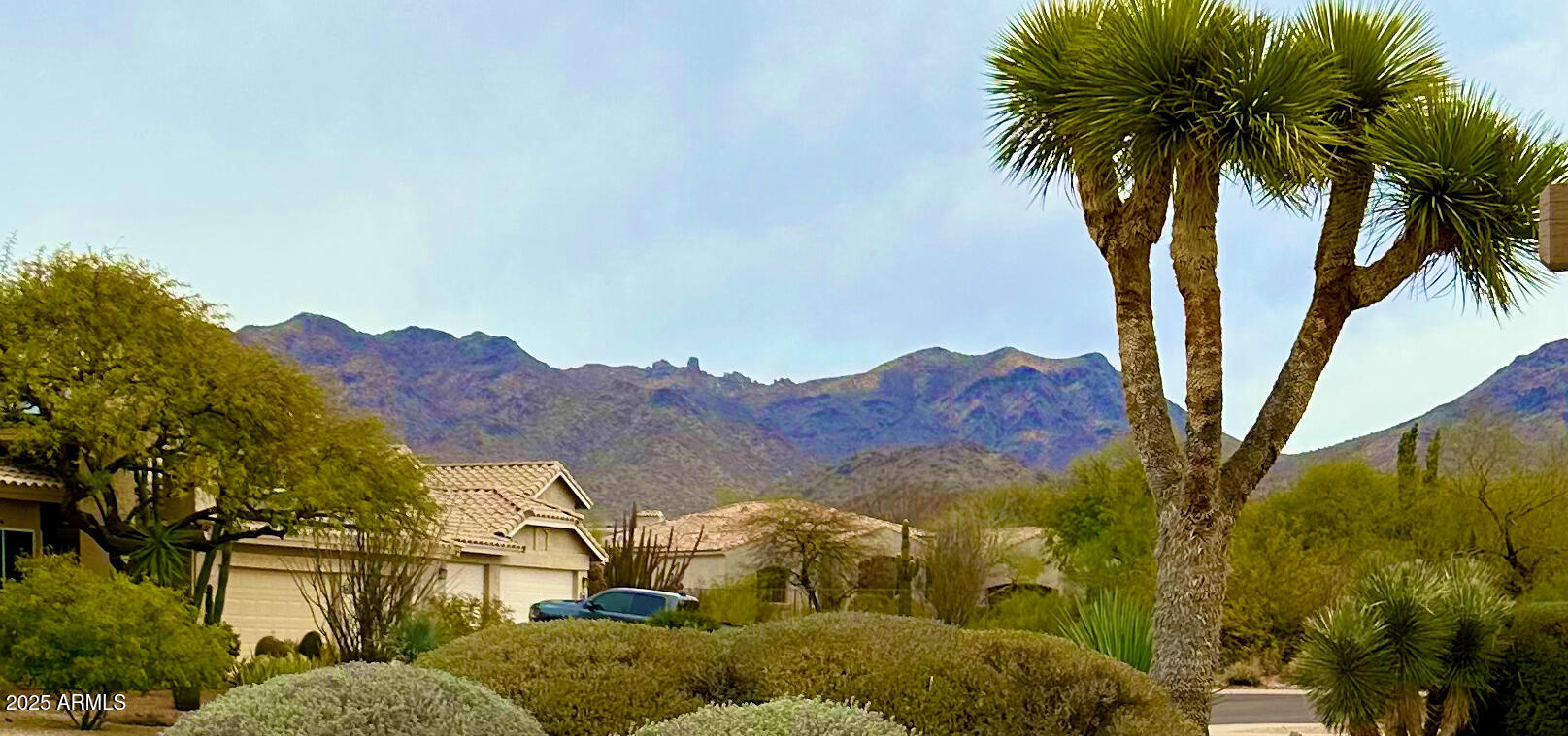 9439 E PALM TREE Drive