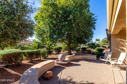 13437 W CHAPALA Court Sun City West AZ 85375