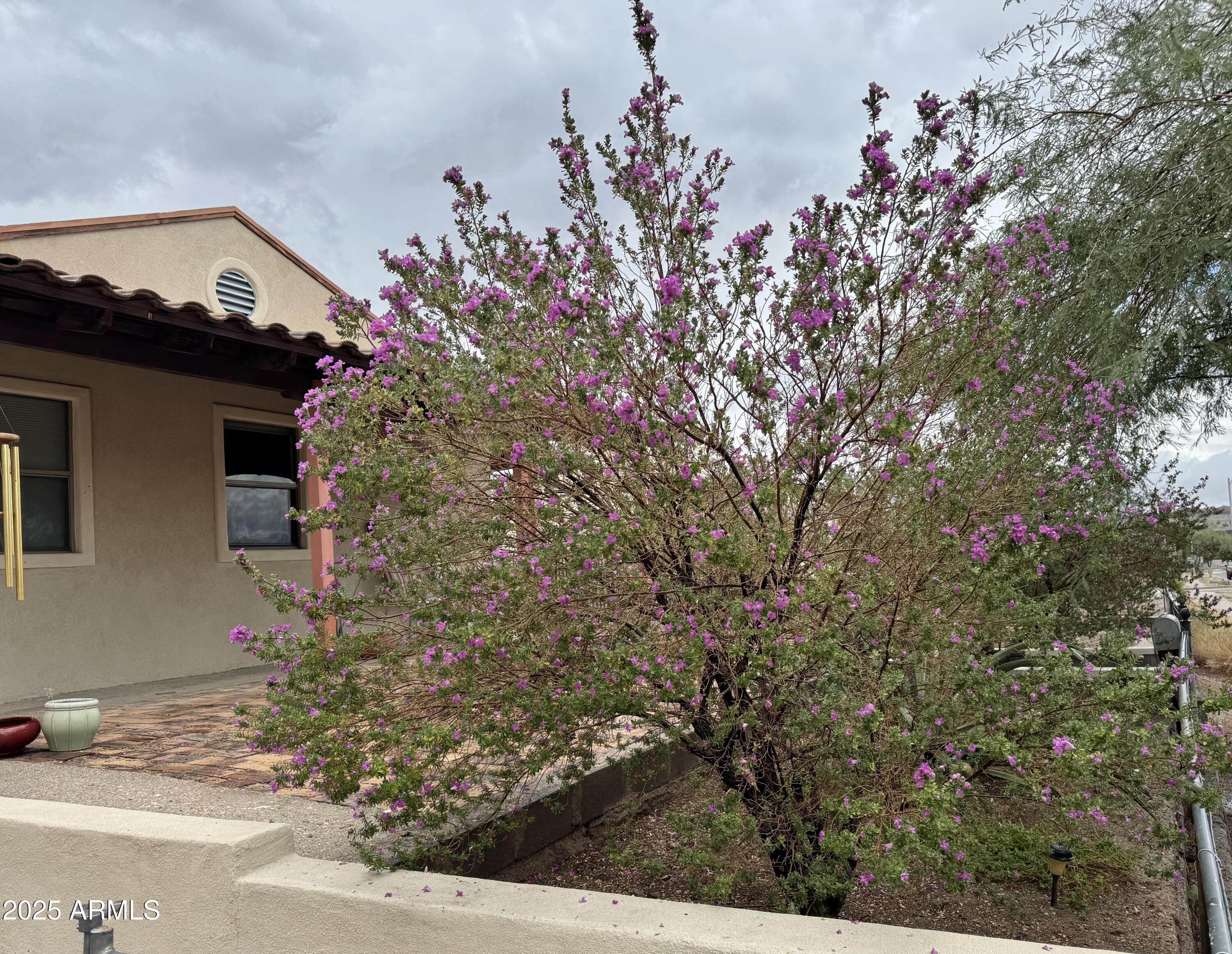 330 W OCOTILLO Avenue