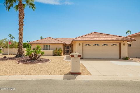 10521 E FLINTLOCK Drive Sun Lakes AZ 85248