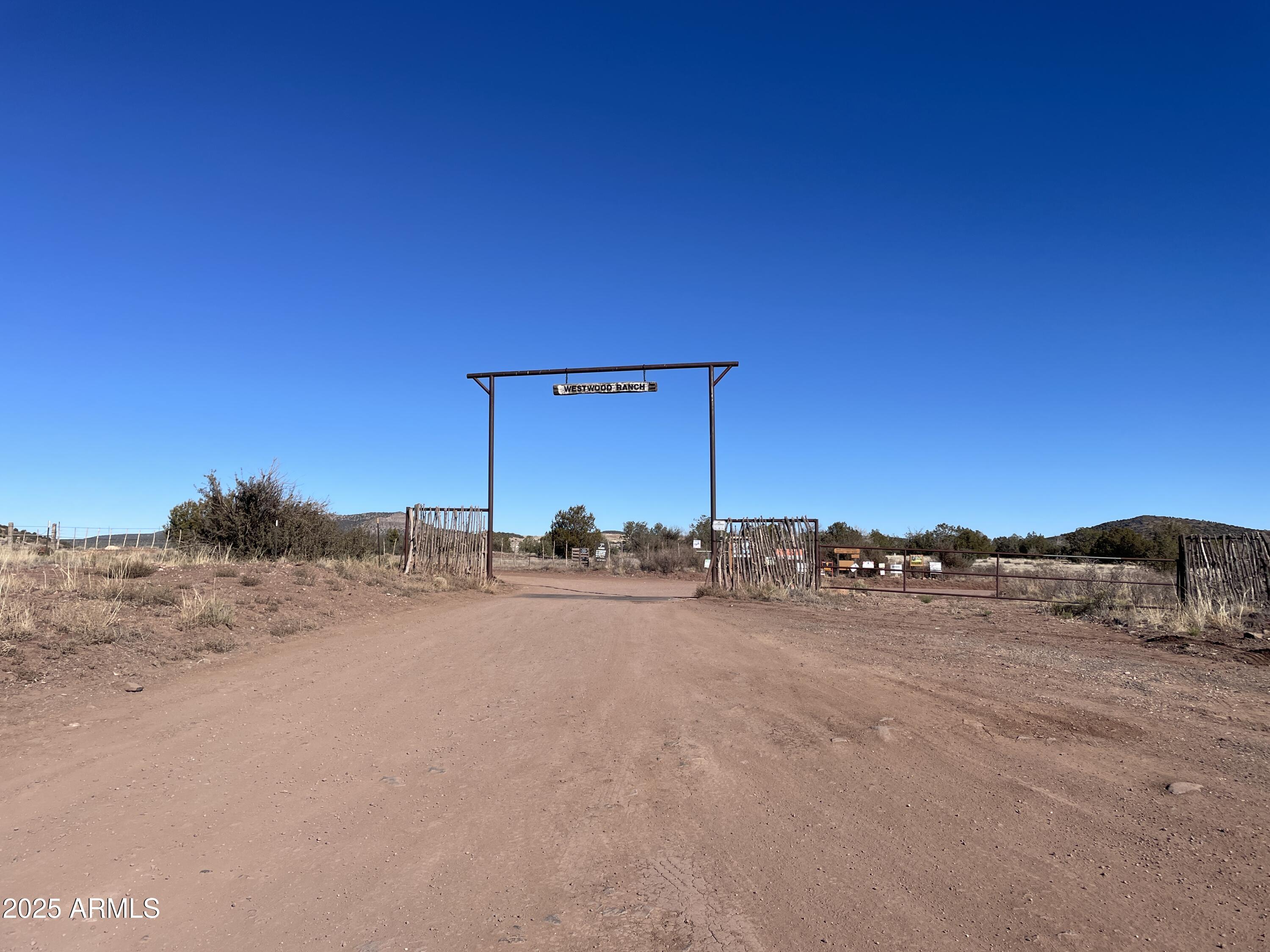 XXXX Cattle Drive 160