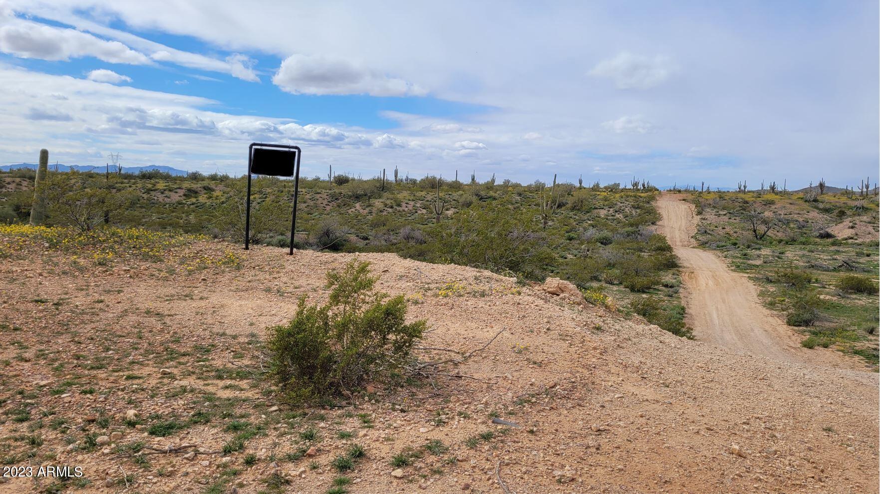 295XX W Painted Wagon Trail -