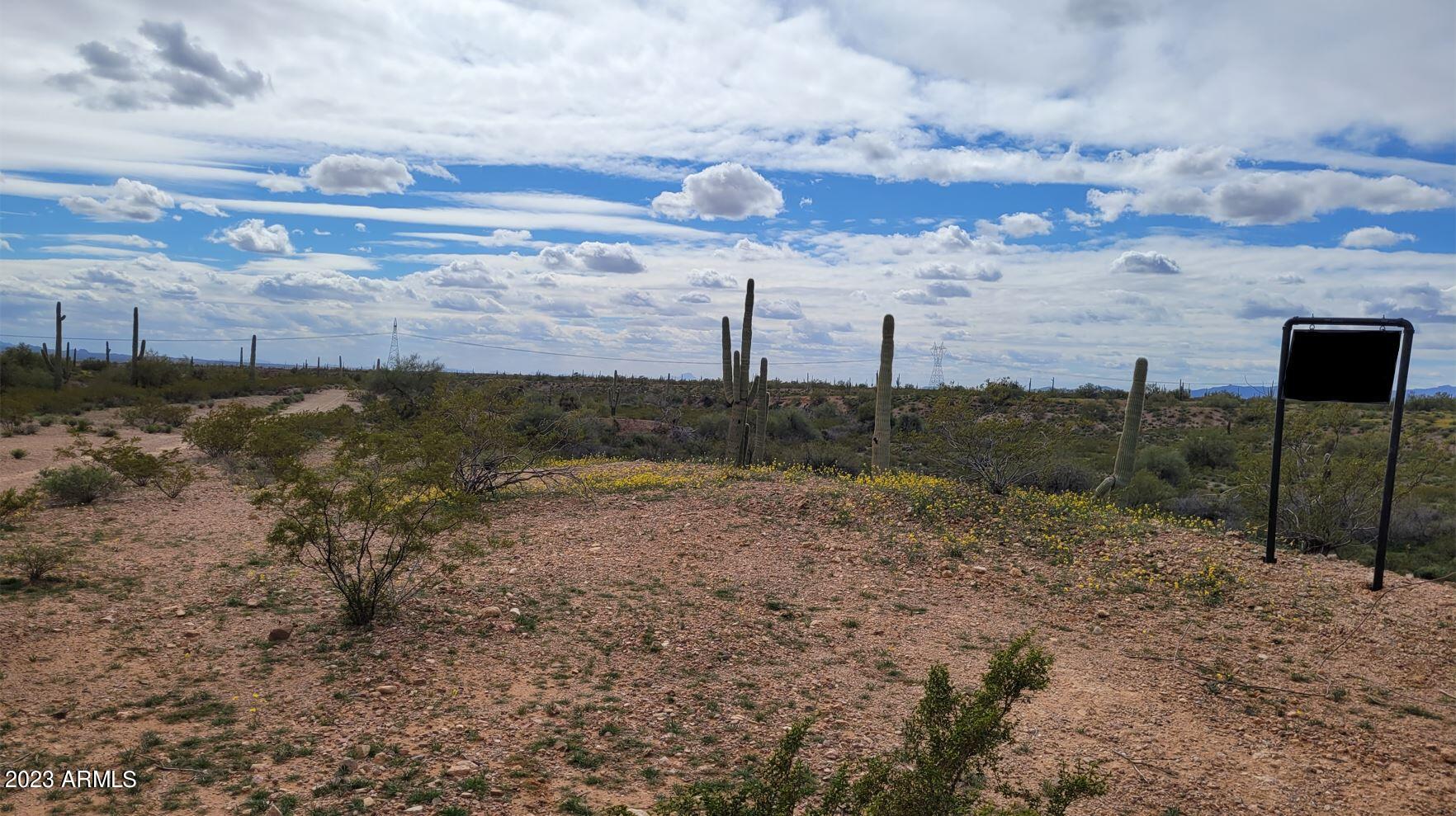 295XX W Painted Wagon Trail -