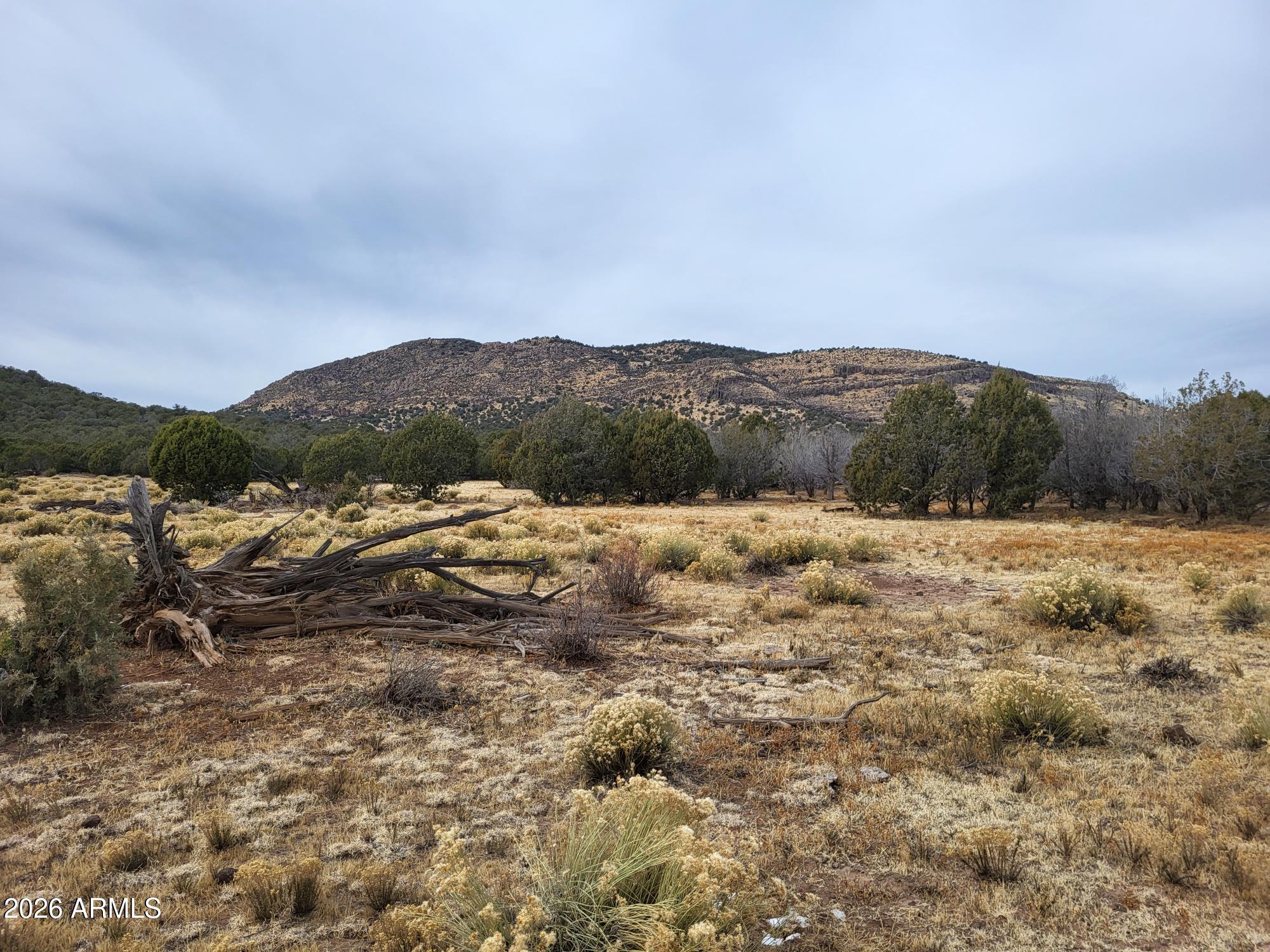 Westwood Ranches - Land