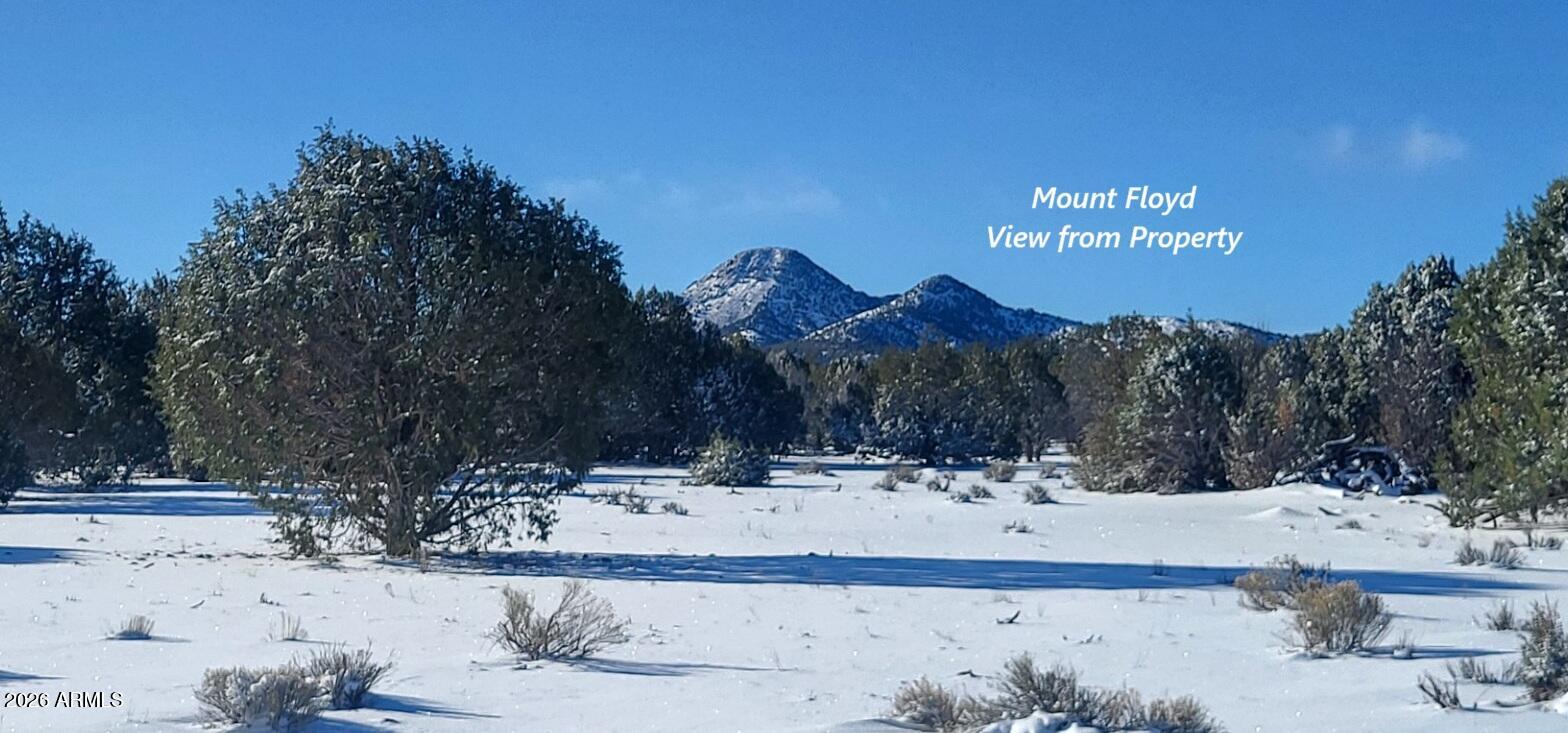 Westwood Ranches - Land