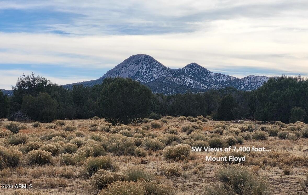 Westwood Ranches - Land