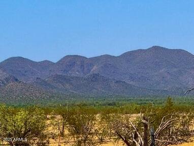 0 W Maser Way 5 Acres -- -