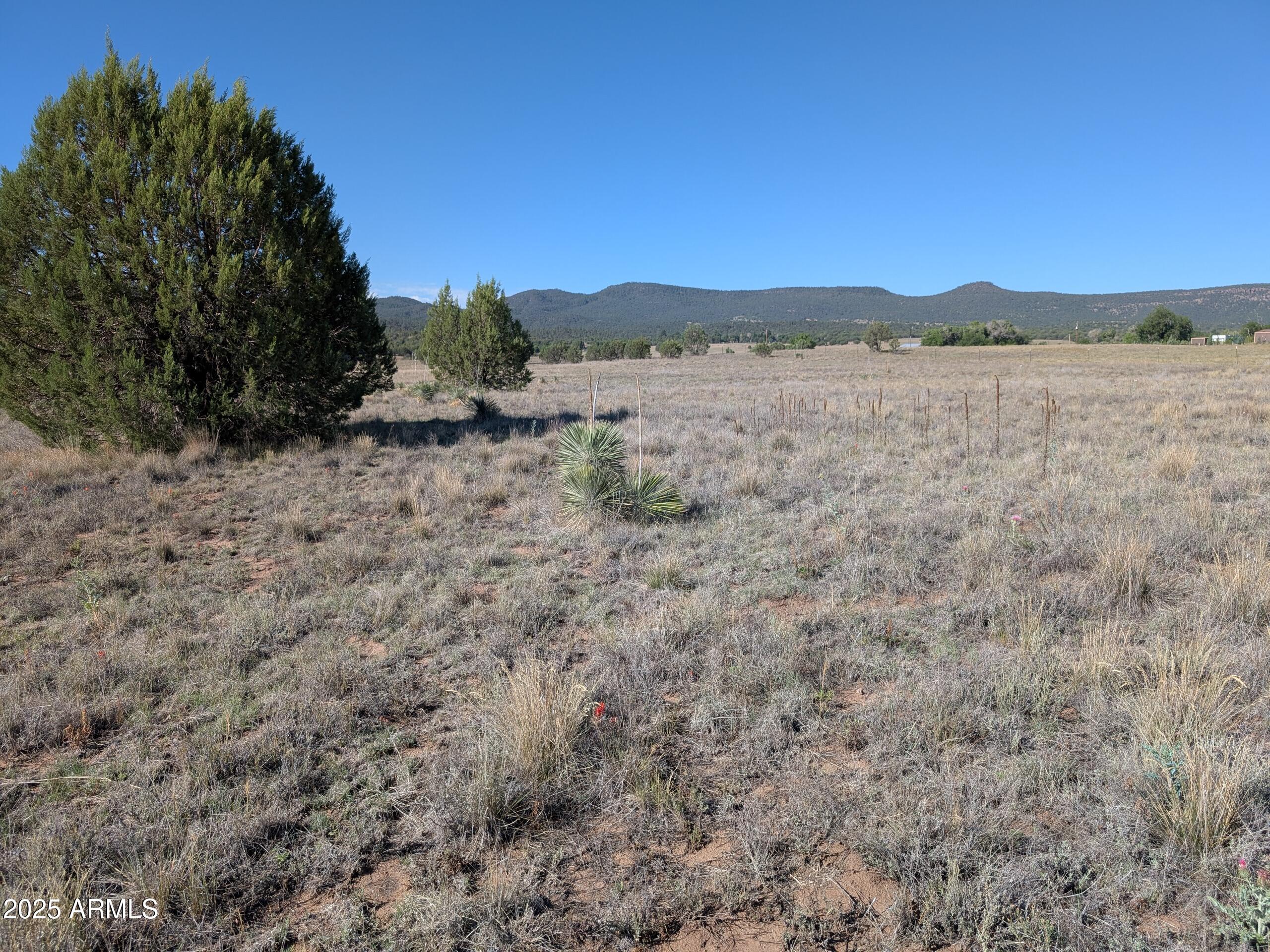 279 E Hubbard Lane -