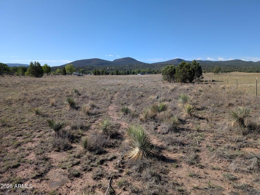 279 HUBBARD LN, YOUNG, AZ 85554 - Image f7caeff47281c5efe5cfa2a33ce97bcd/3691762968