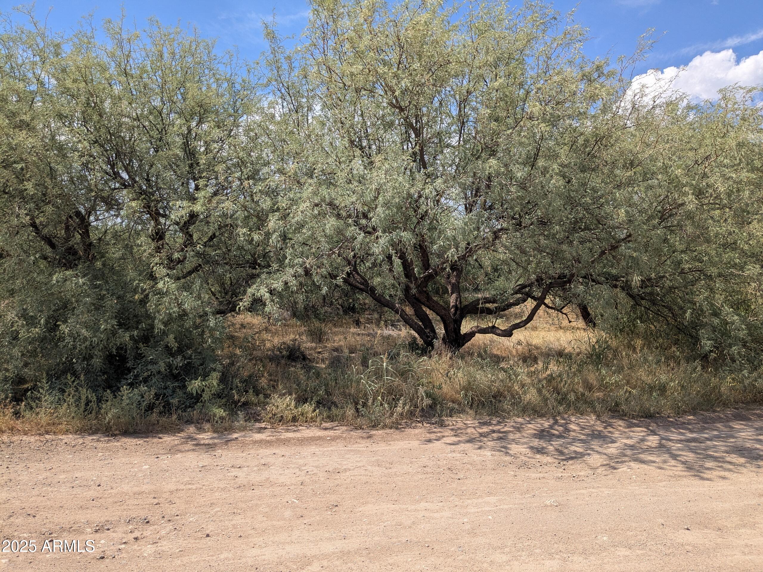 5540 N DEBBIE Lane 332