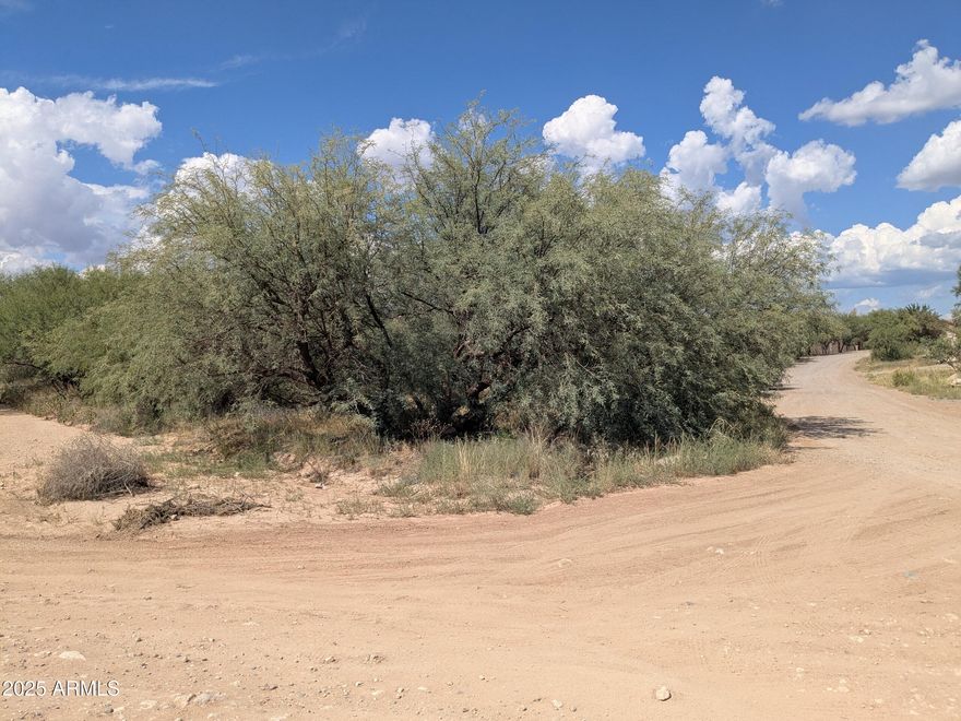 Nice lot with trees ready for your new home.
Water and electric at street, needs septic.