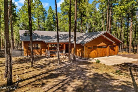105 COUNTY ROAD 2266 -- Alpine AZ 85920