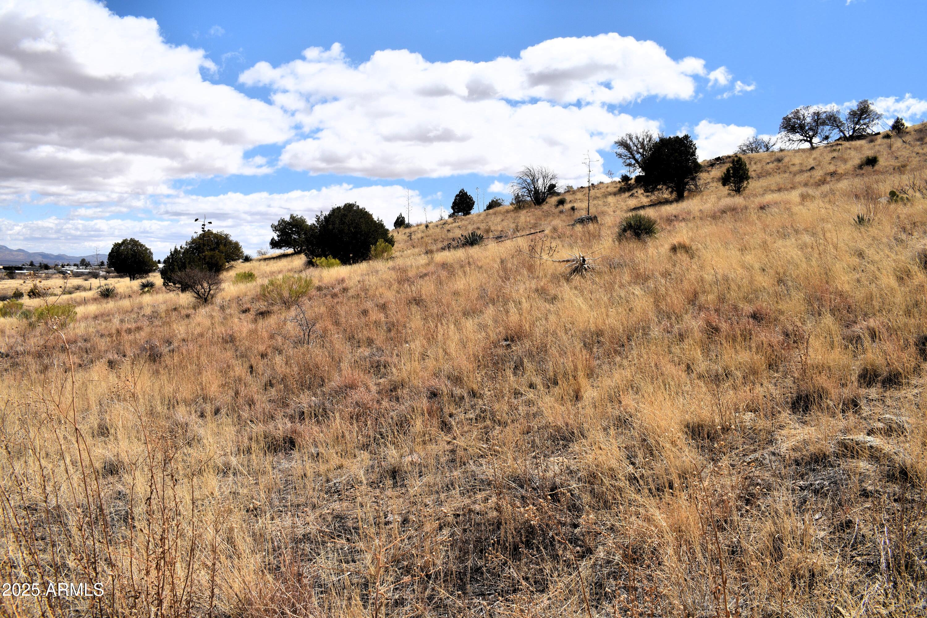 Lot 009P S One More Road -- 9P