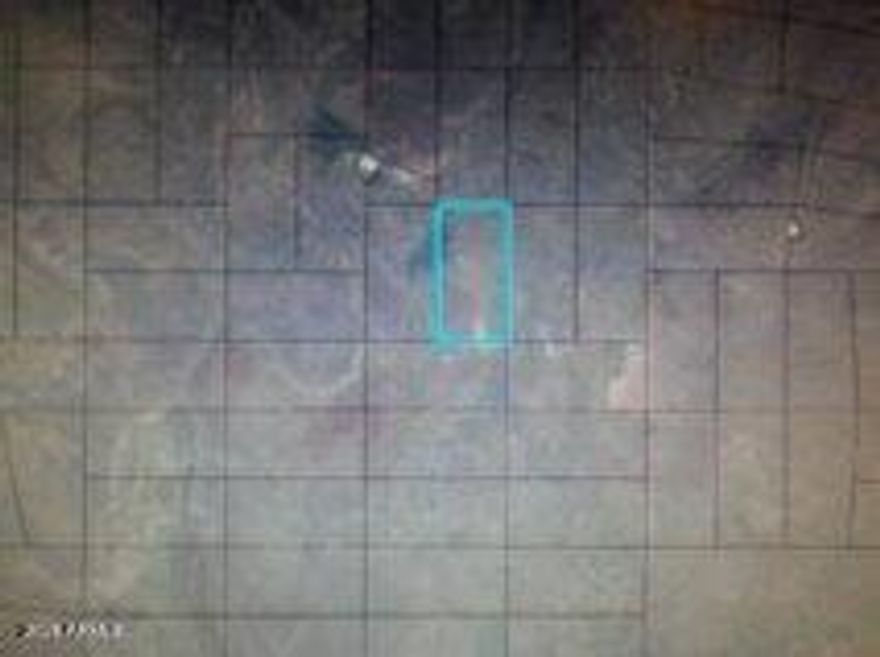 Looking for a large level property? High desert virgin land. Owner will carry.